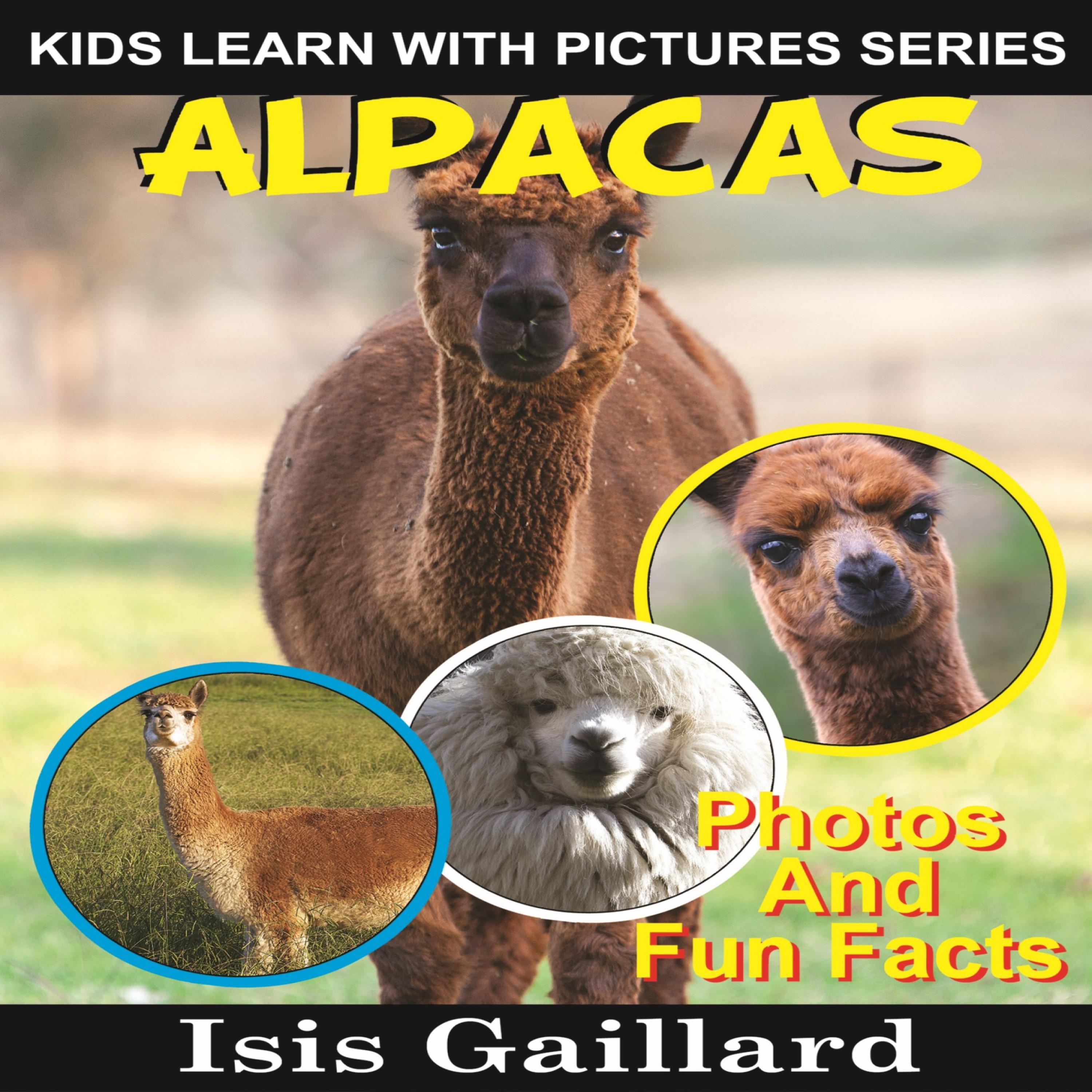 Alpacas