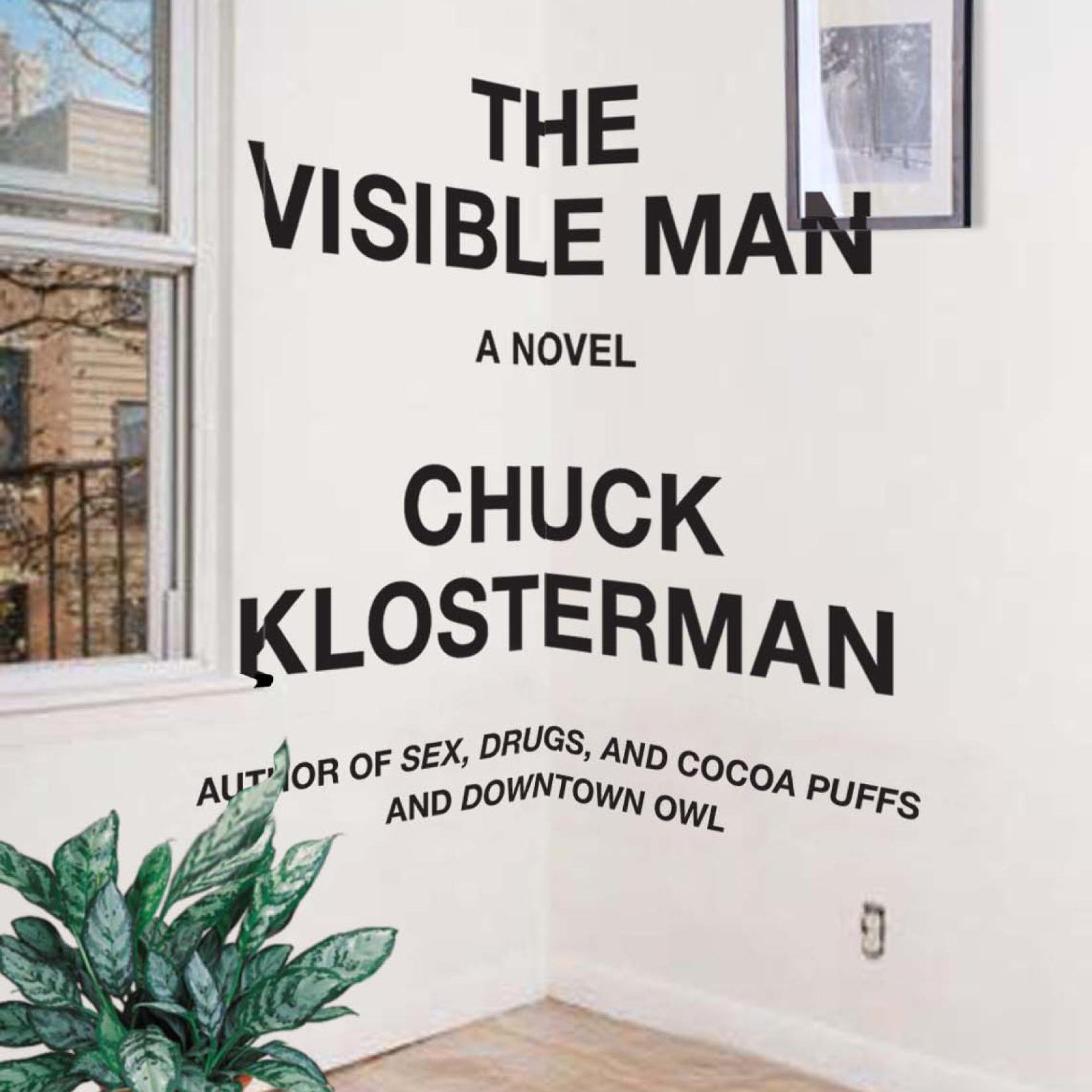 The Visible Man