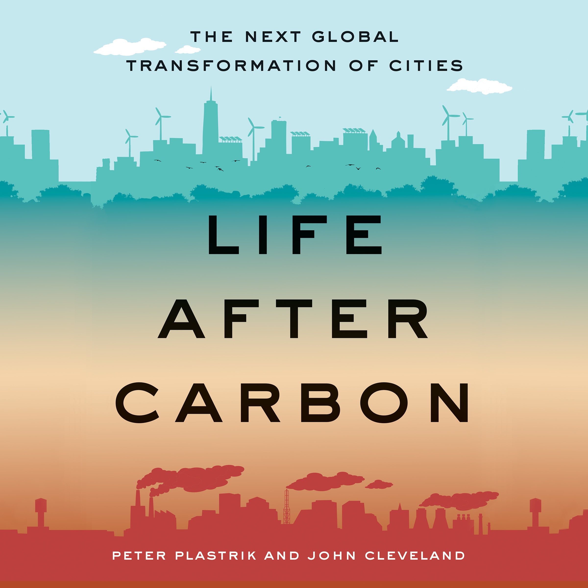 Life after Carbon