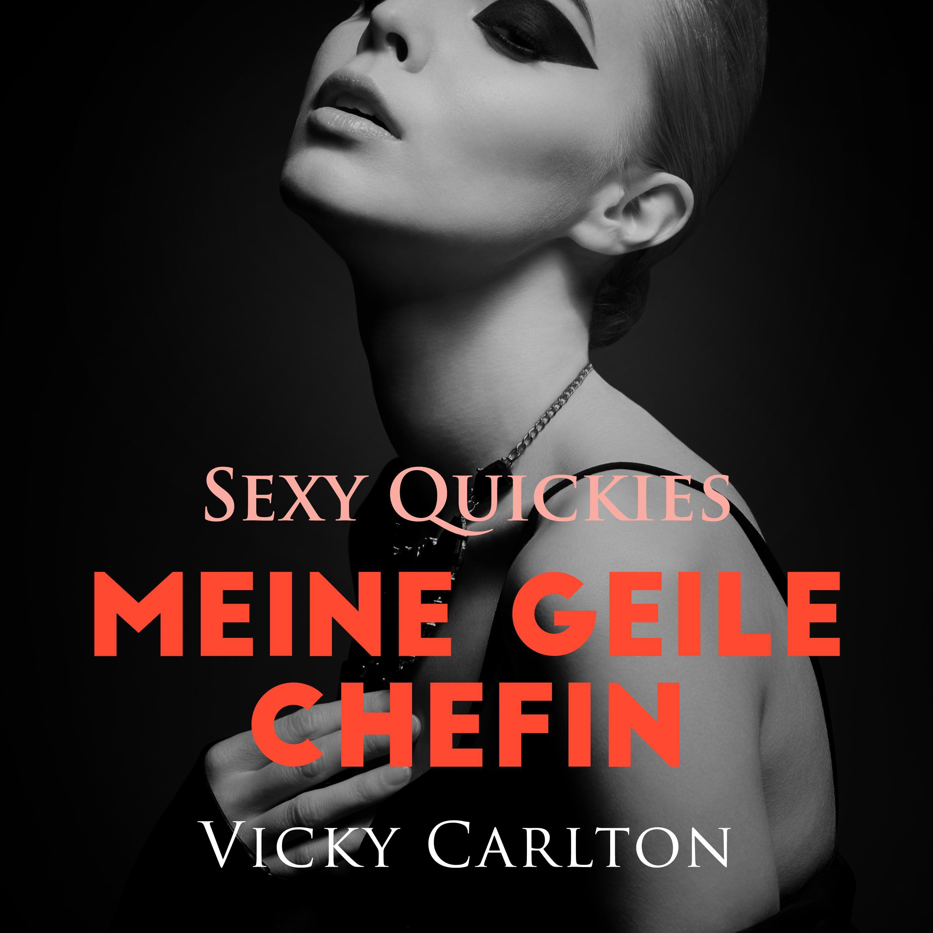 Meine geile Chefin. Sexy Quickies