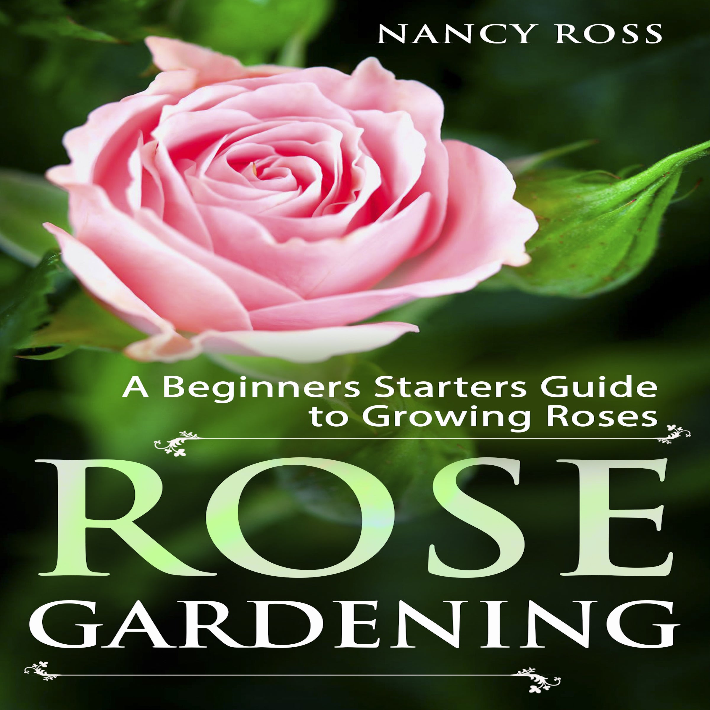 Rose Gardening