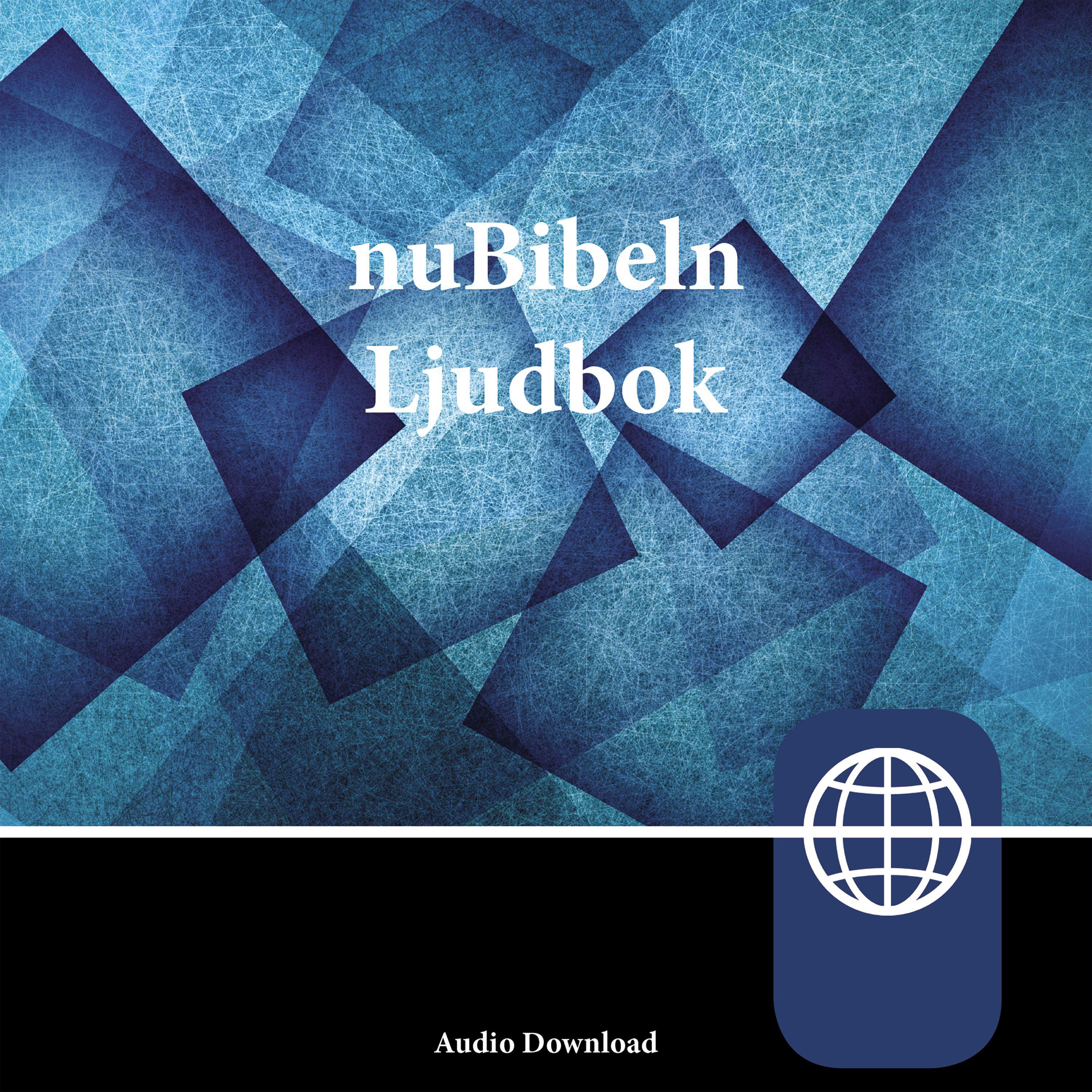 nuBibeln, Audio Download