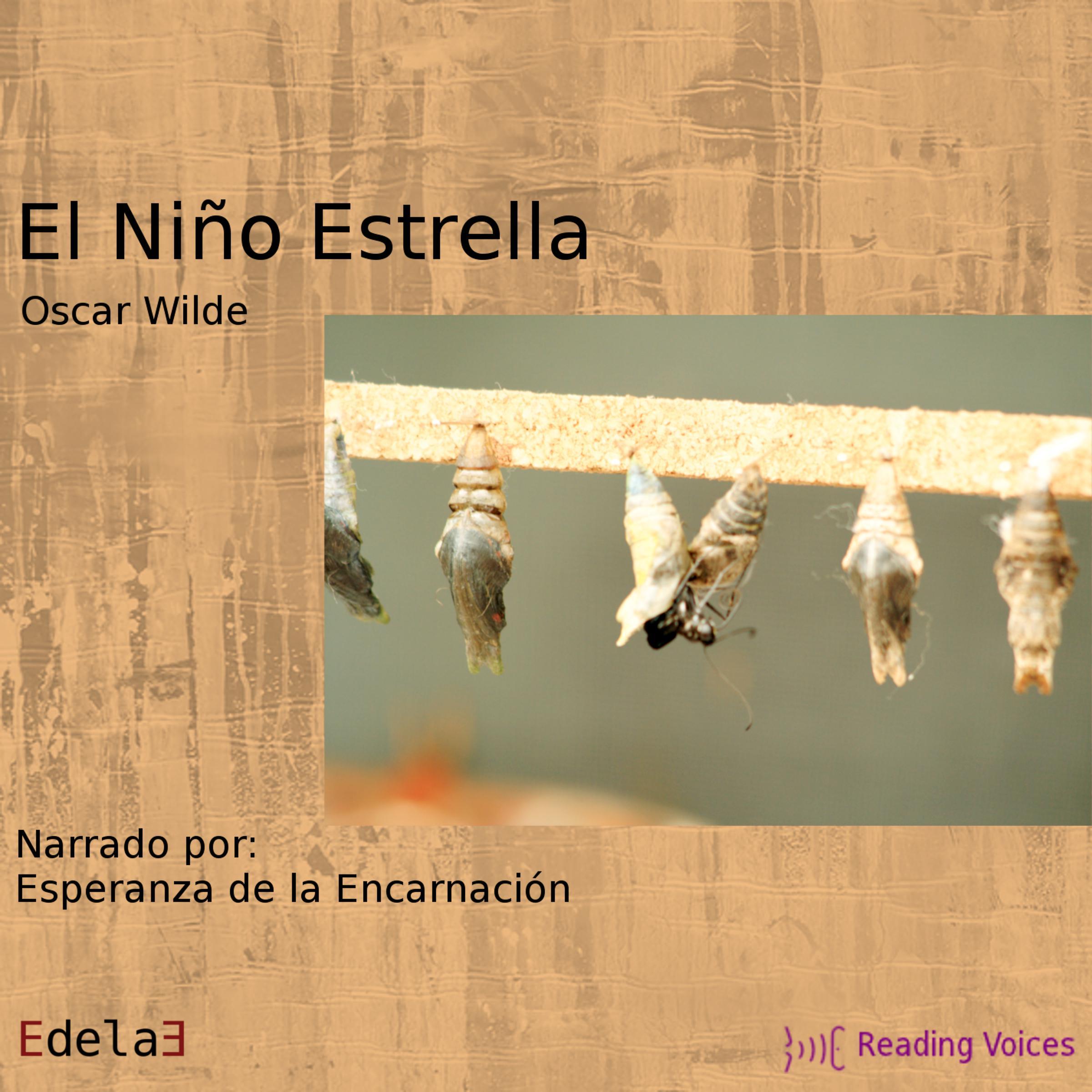 El niño estrella