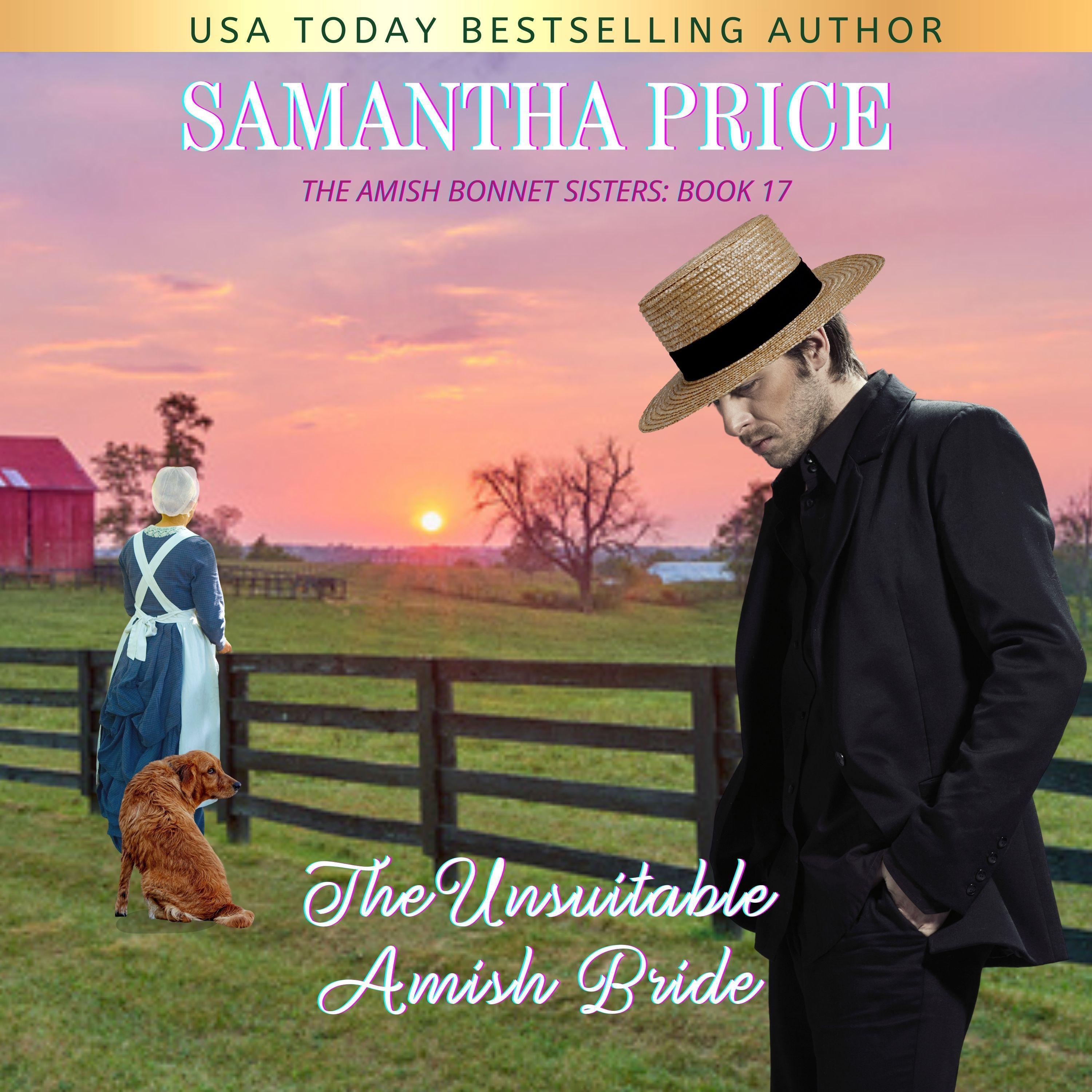 The Unsuitable Amish Bride