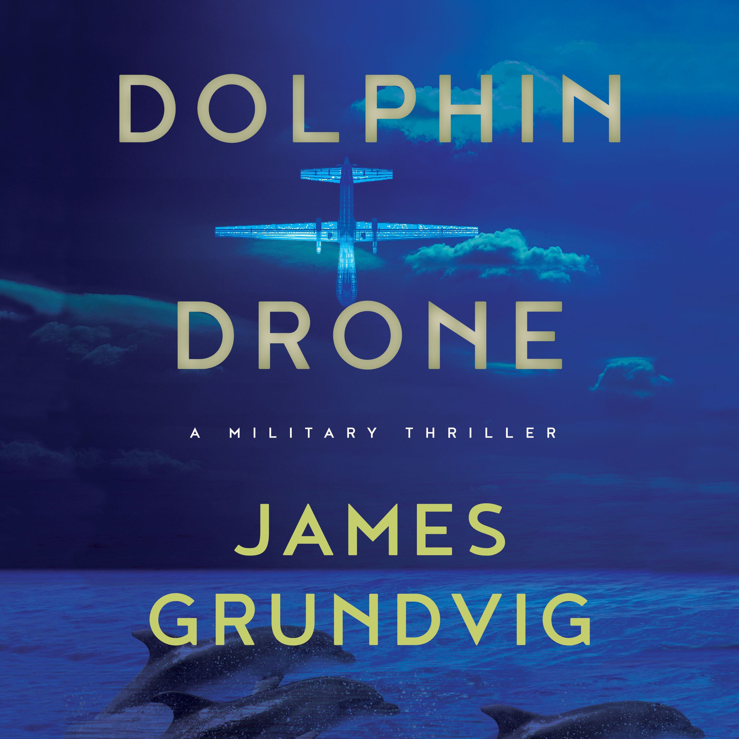 Dolphin Drone