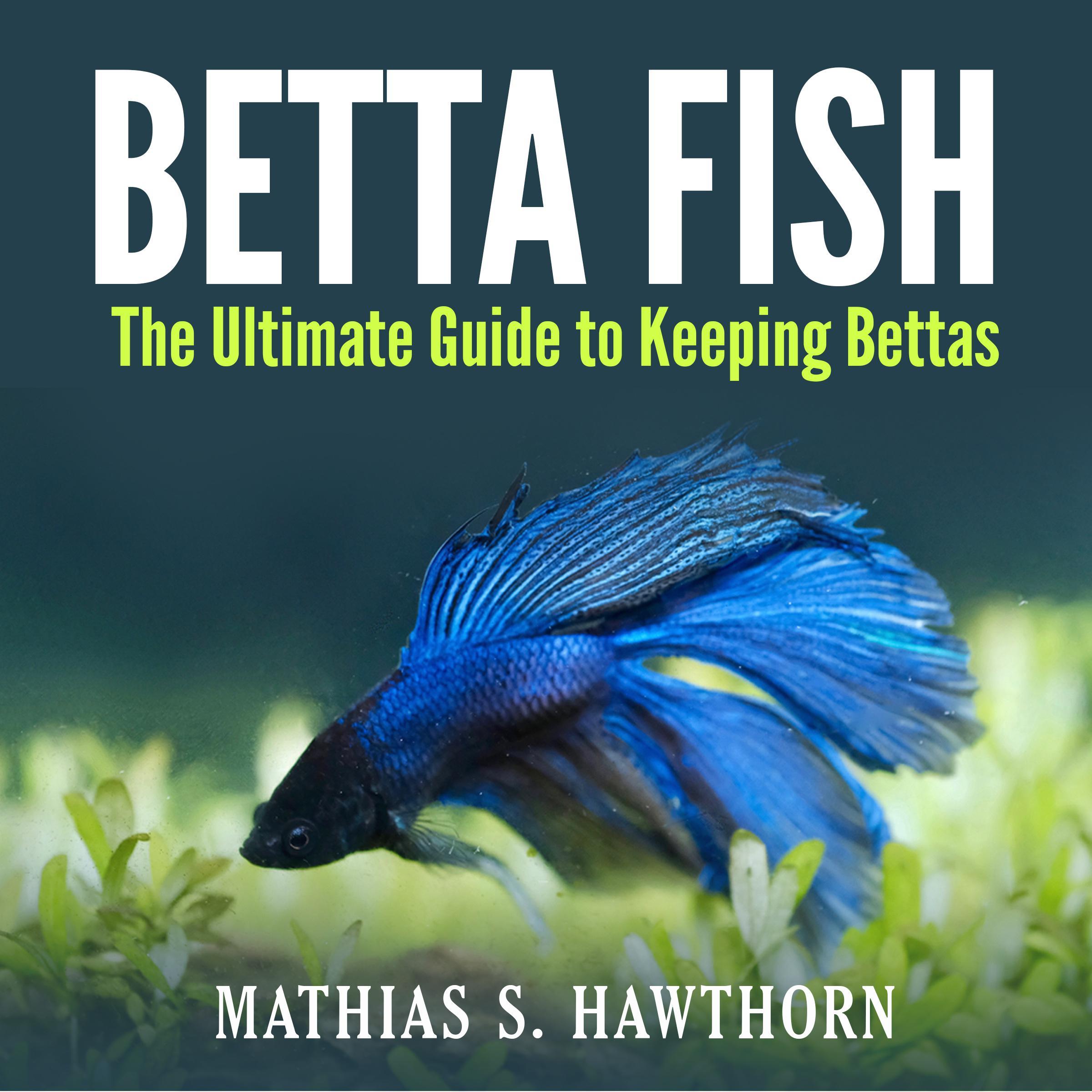 Betta Fish