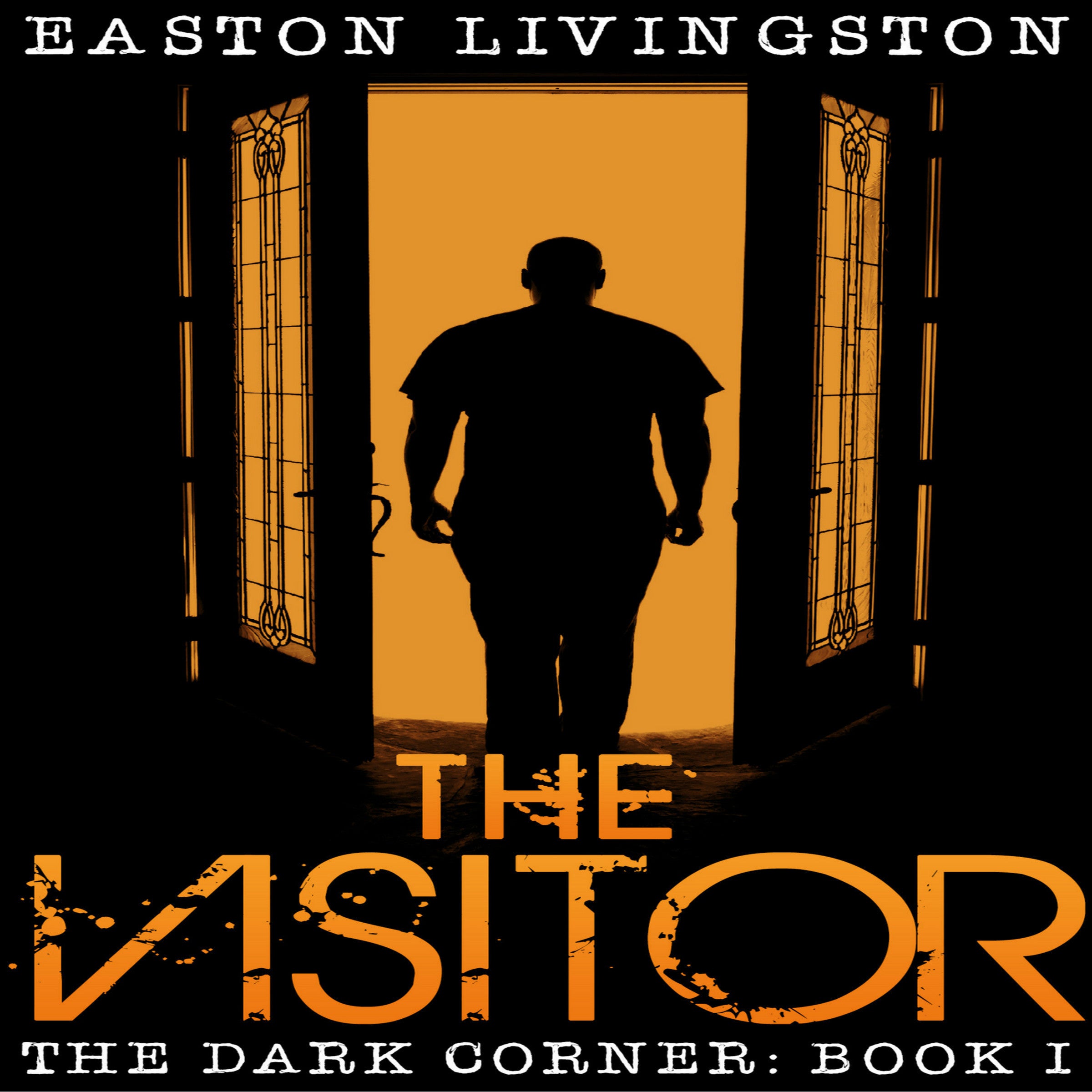 The Visitor: The Dark Corner - Book I