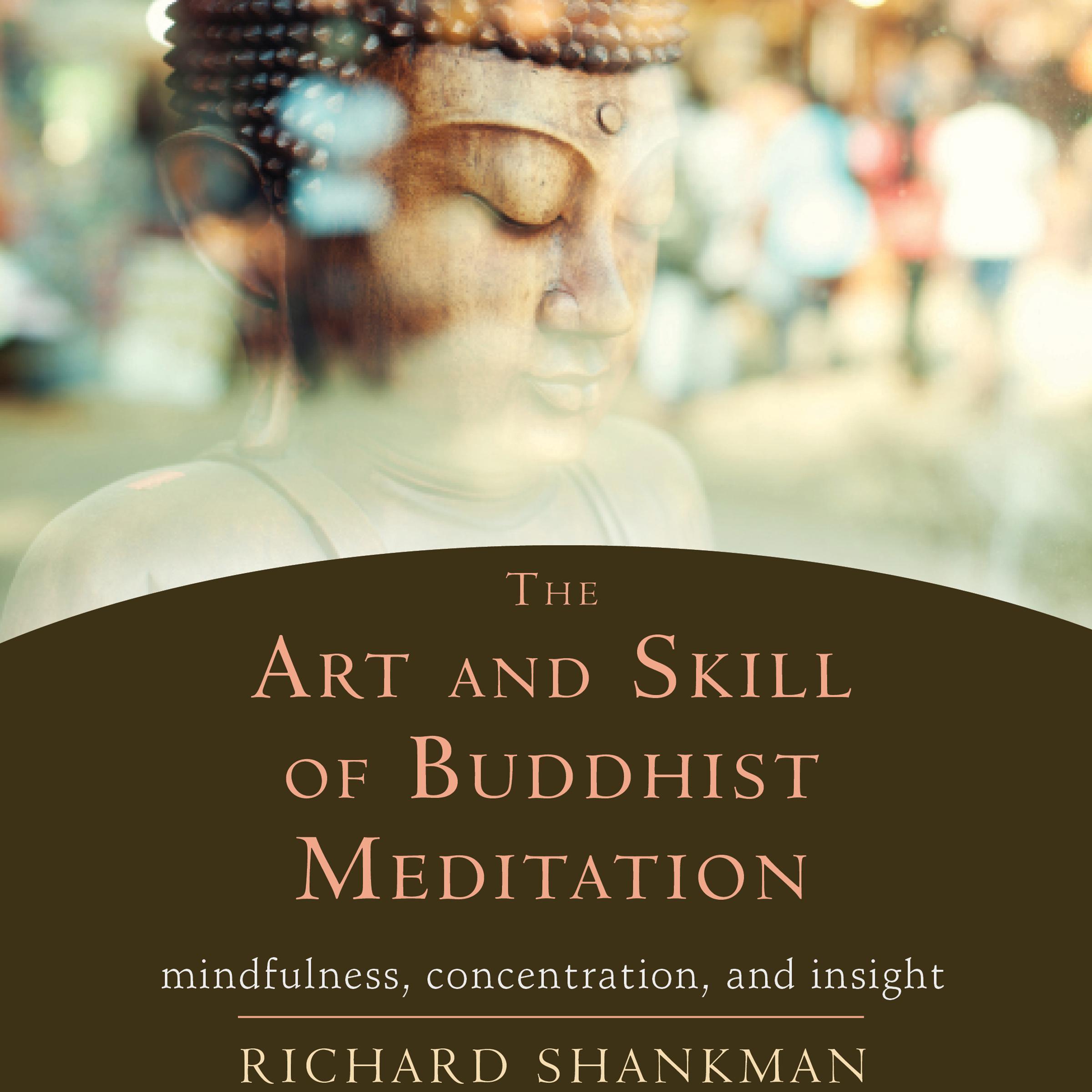 The Art and Skill of Buddhist Meditation