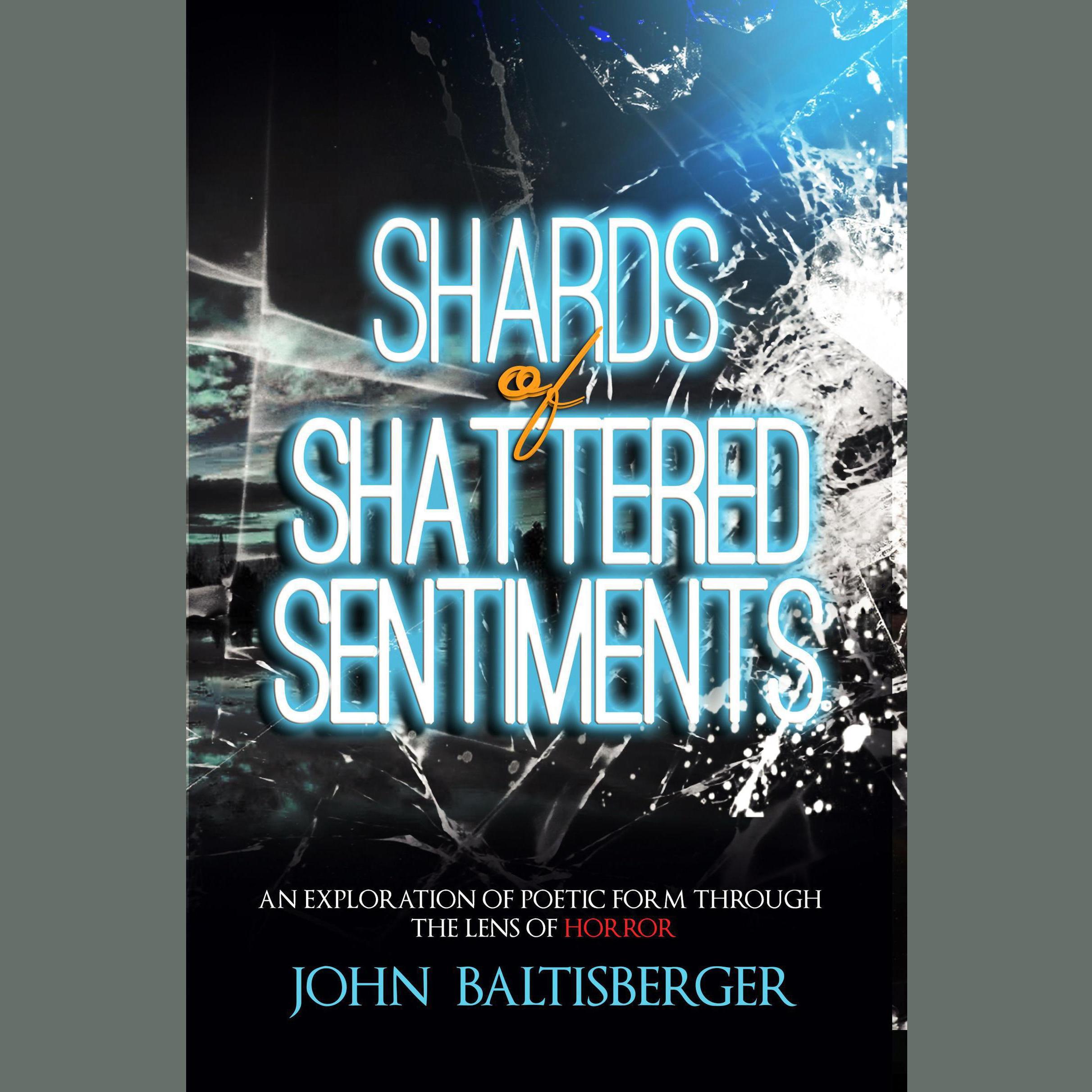 Shards of Shattered Sentiments