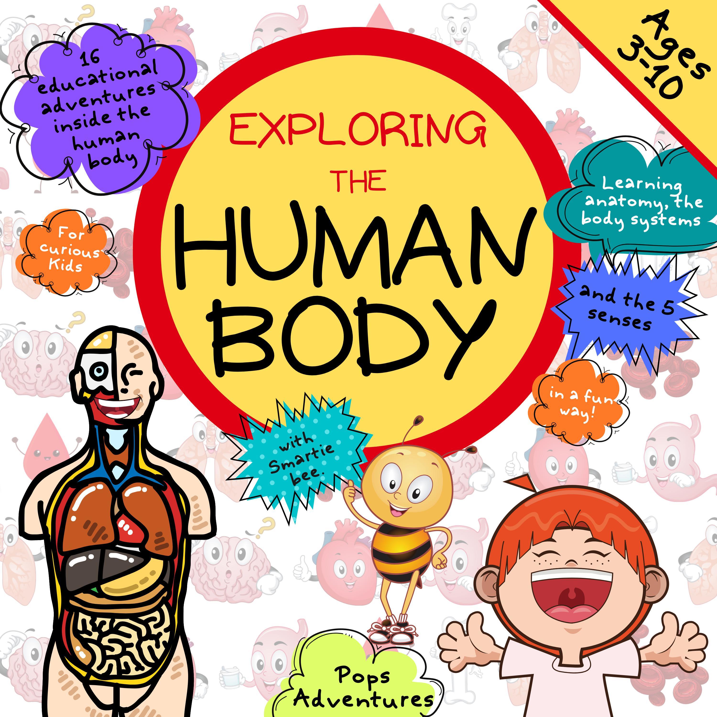 Exploring the Human Body with Smartie bee