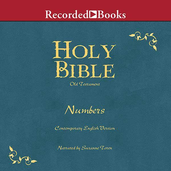 Holy Bible: Numbers Volume 4