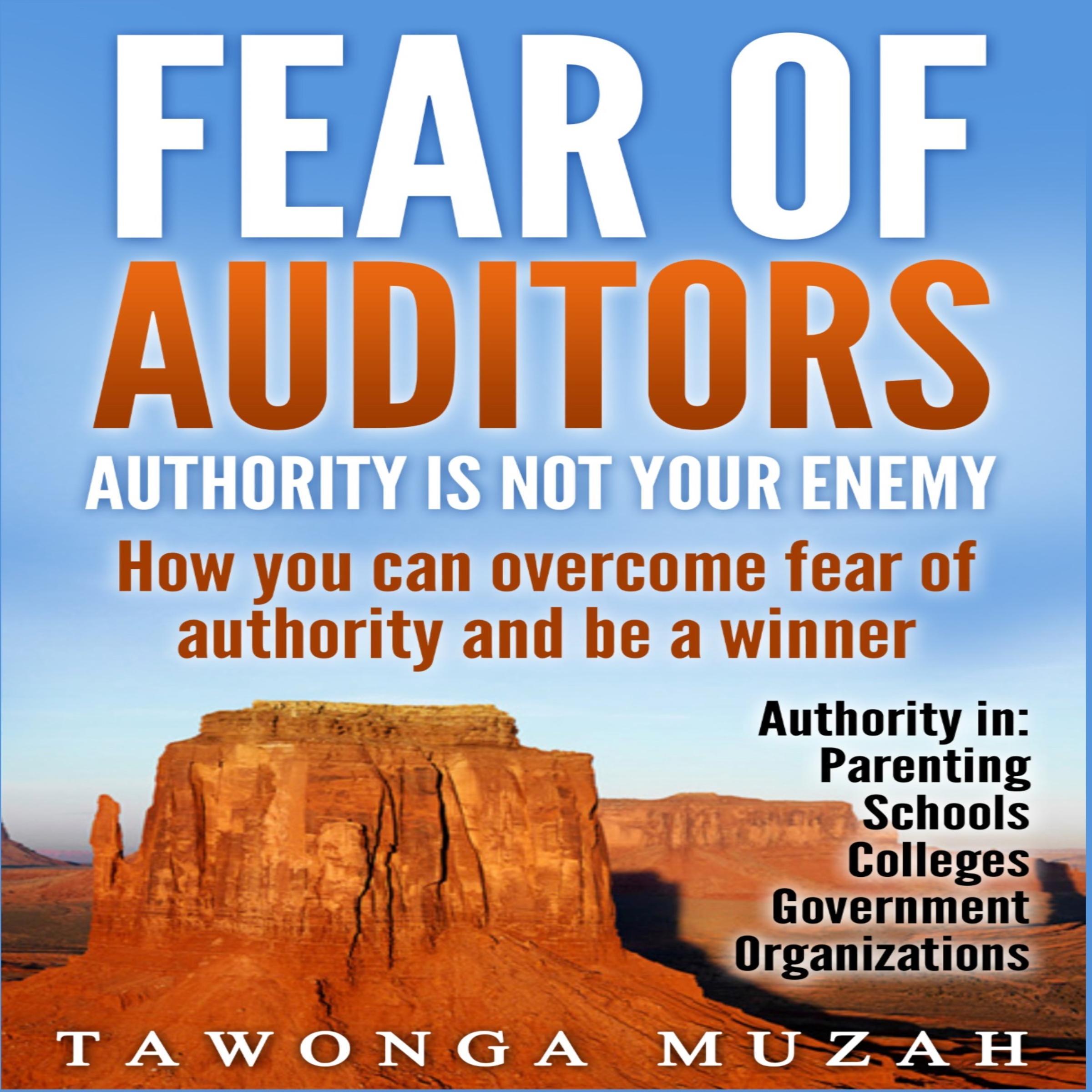 Fear of Auditors