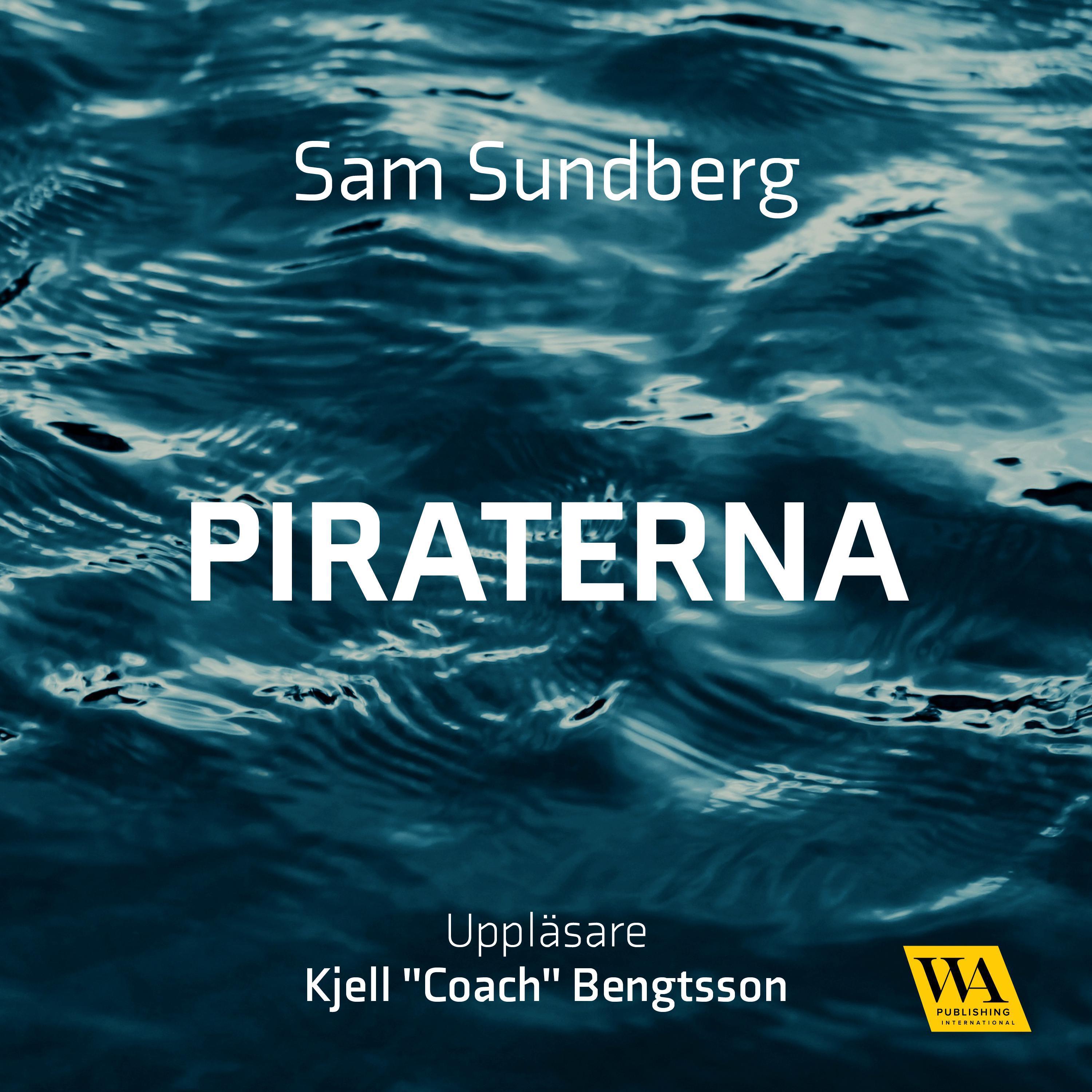 Piraterna - De svenska fildelarna som plundrade Hollywood