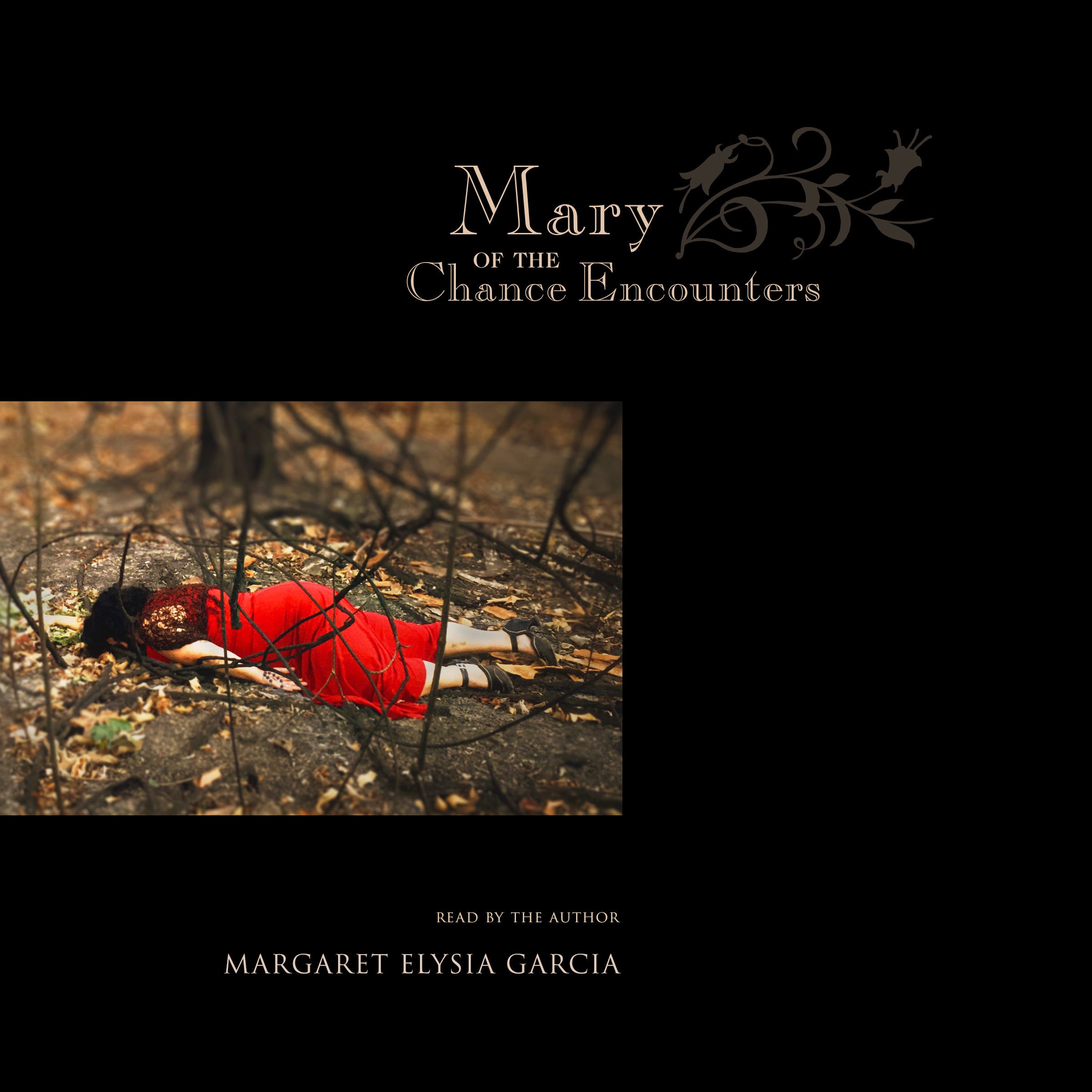 Mary of the Chance Encounters