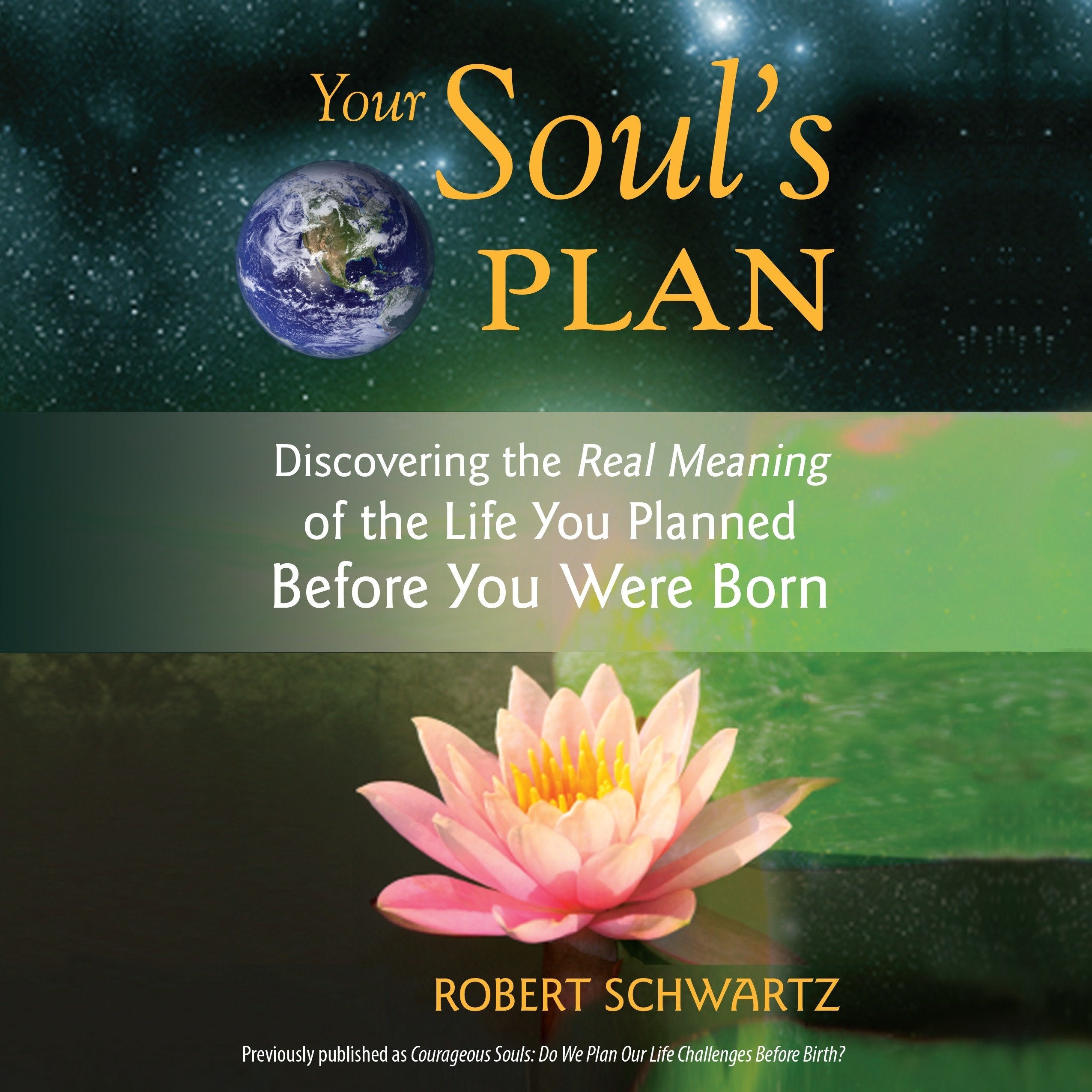 Your Soul's Plan
