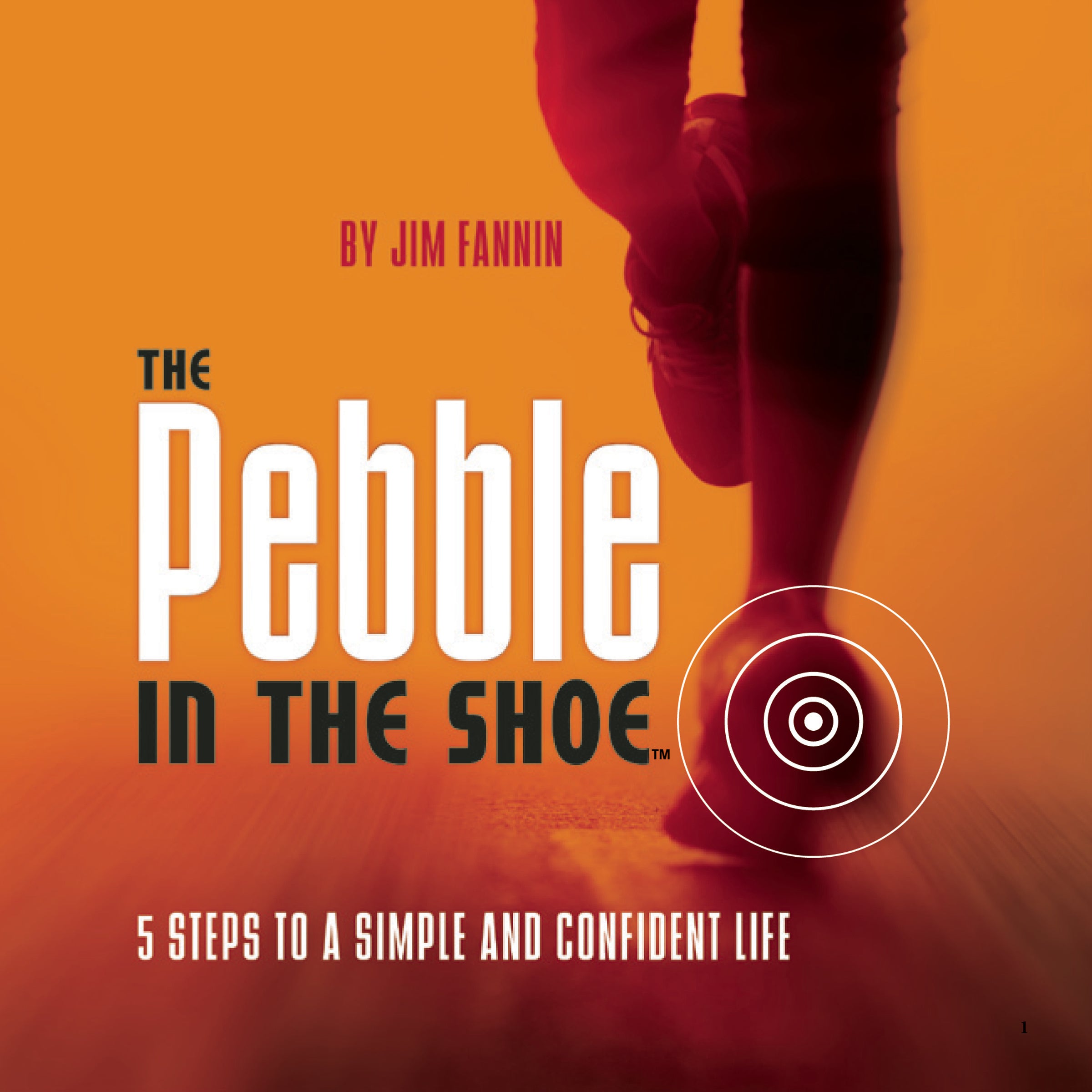 The Pebble in the Shoe