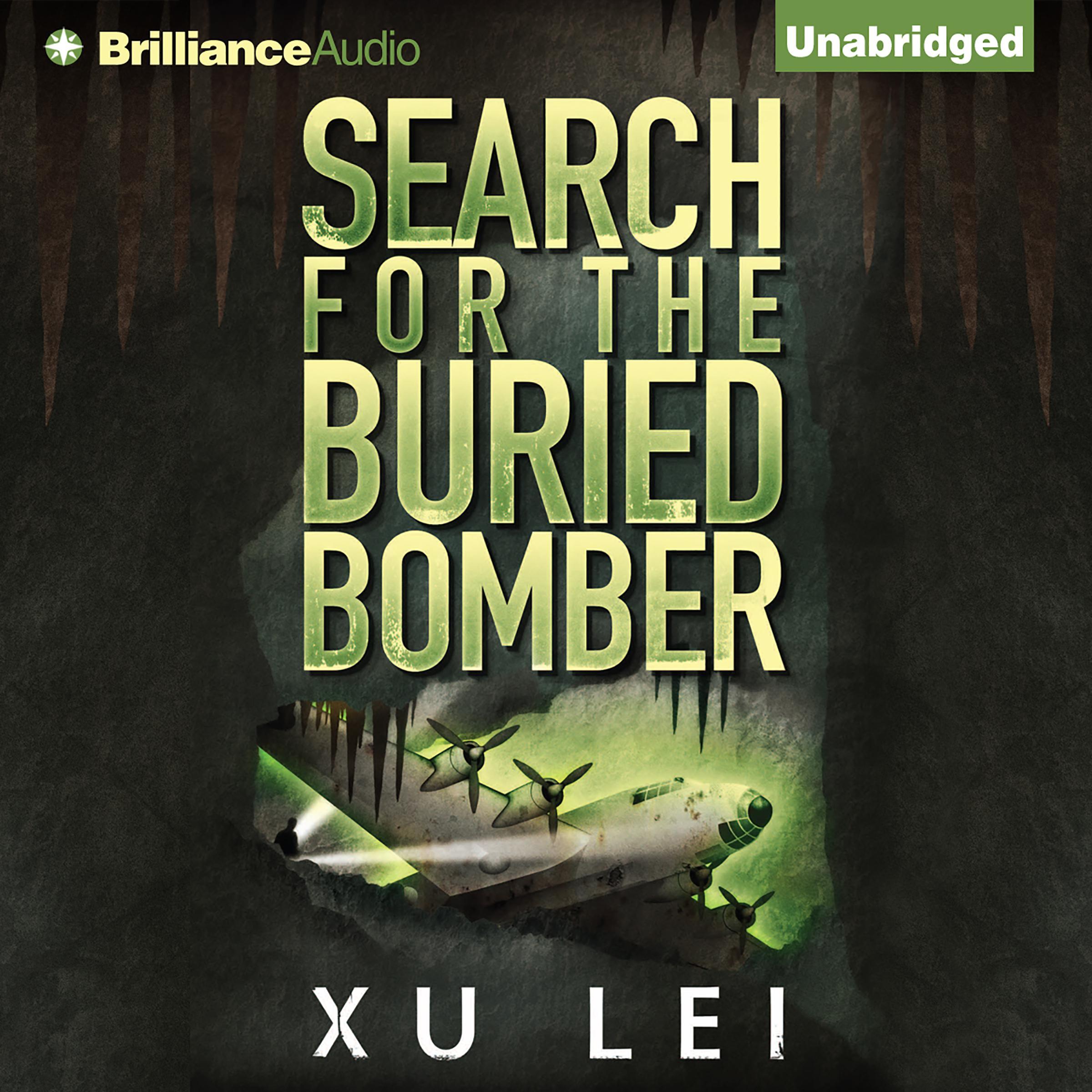 Search for the Buried Bomber