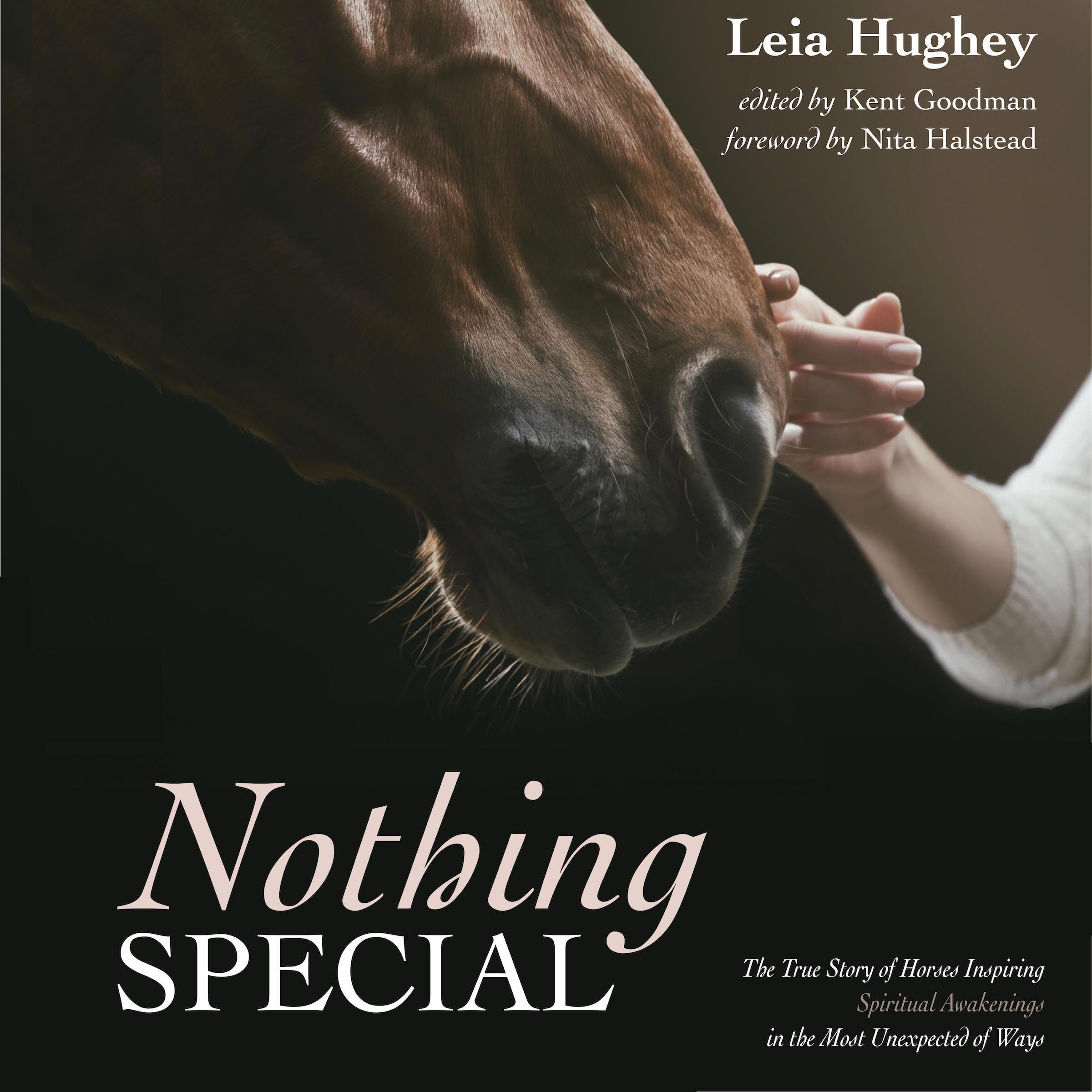 Nothing Special: The True Story of Horses Inspiring Spiritual Awakening in the Most Unexpected of Ways