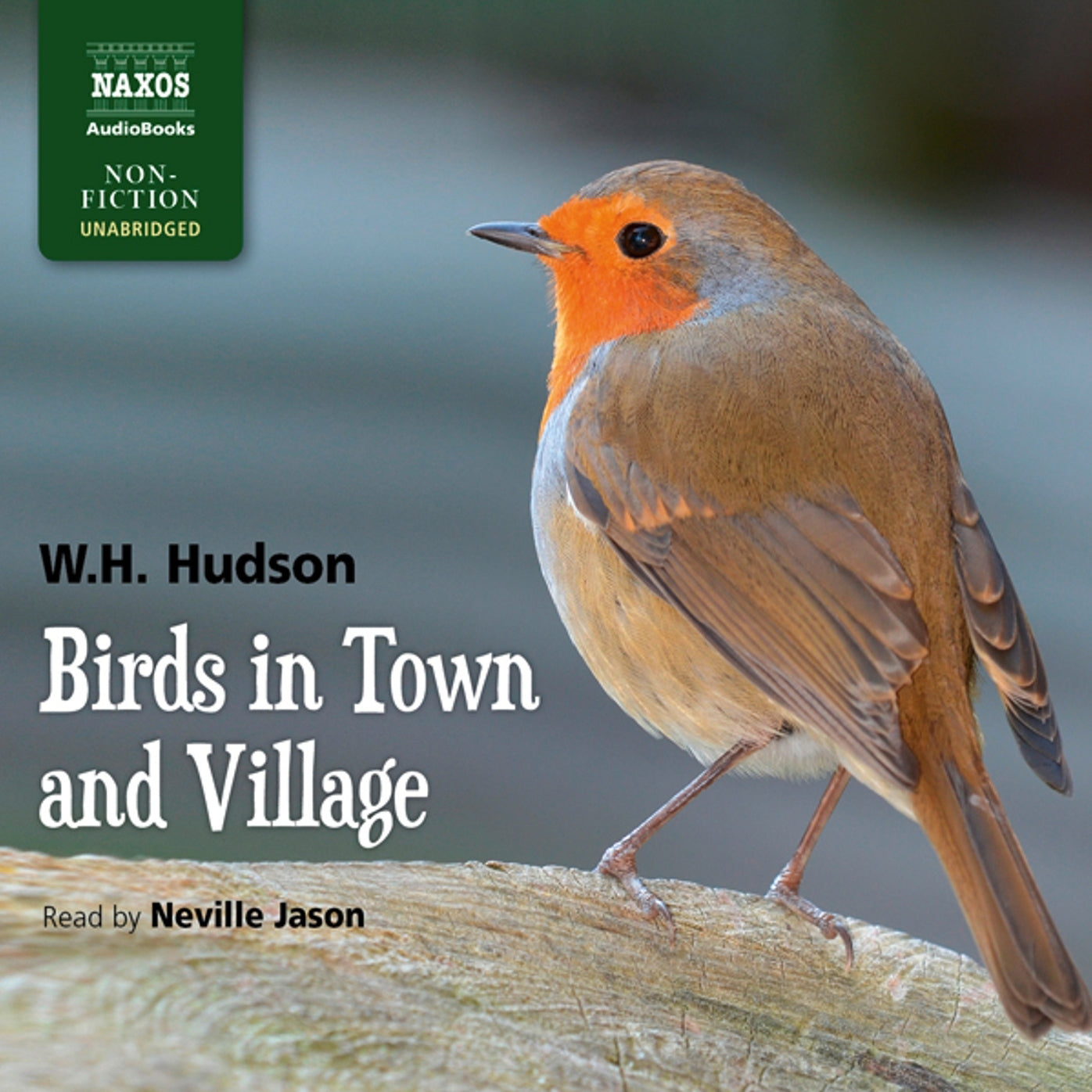 Birds in Town and Village