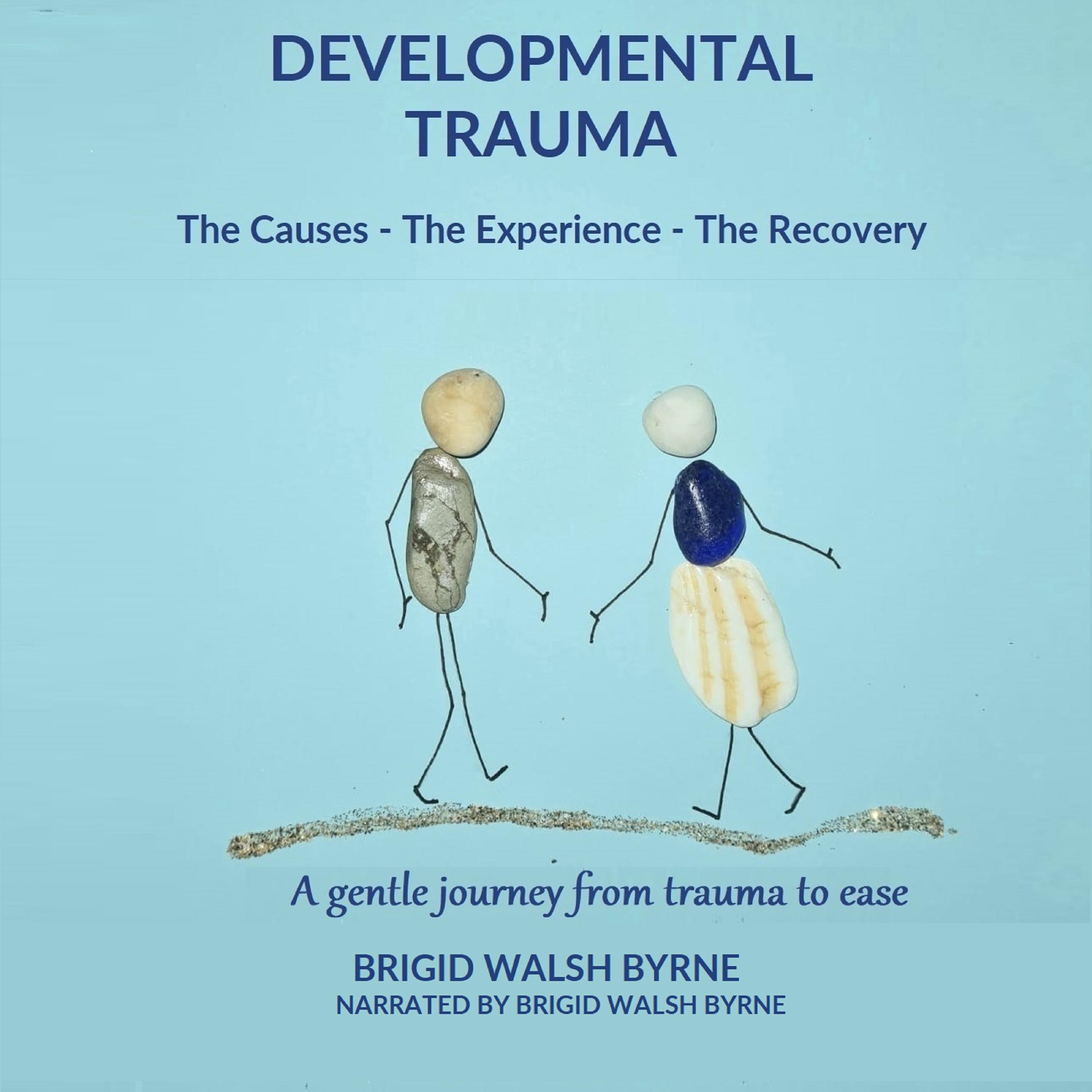 Developmental Trauma - The Causes - The Experience - The Recovery