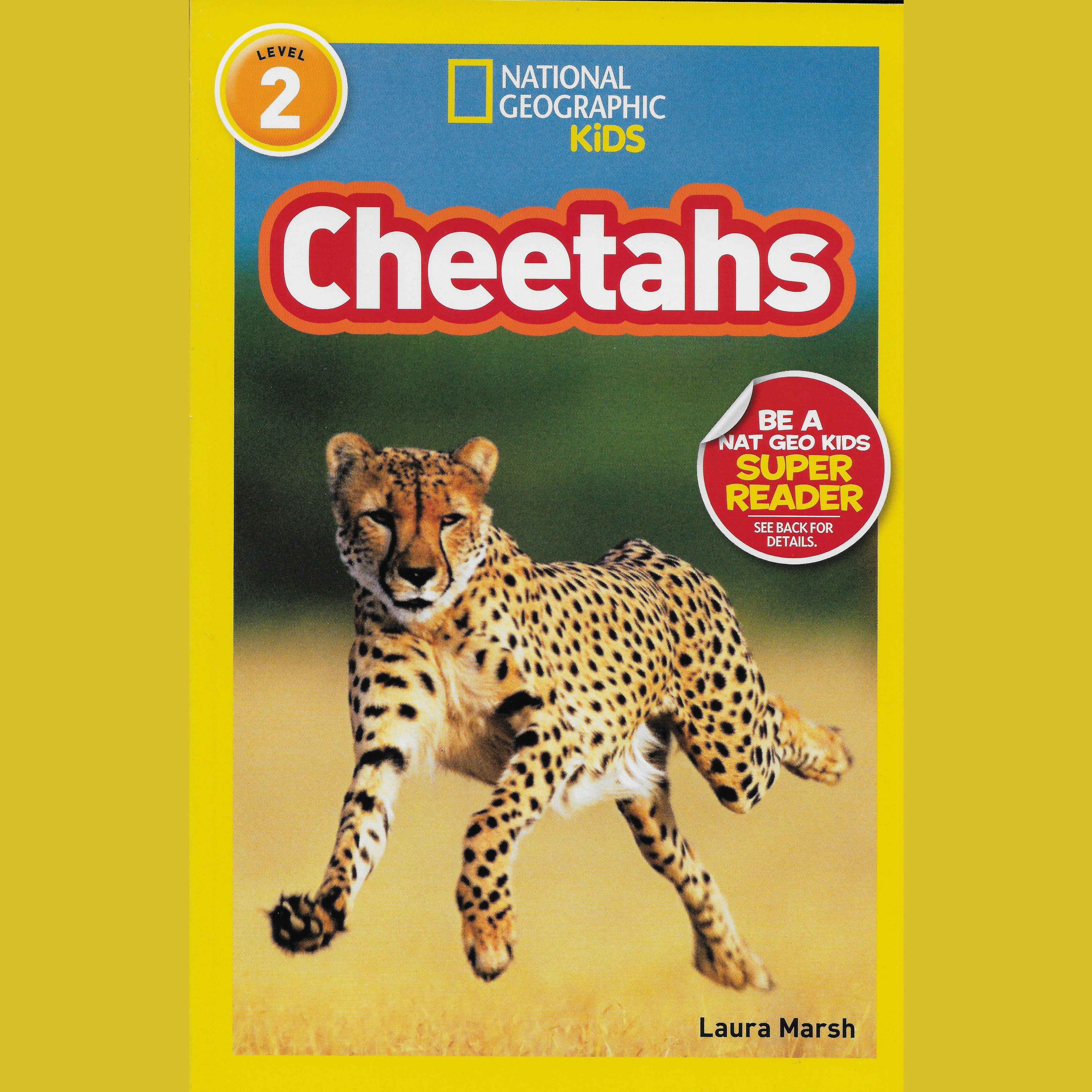 Cheetahs