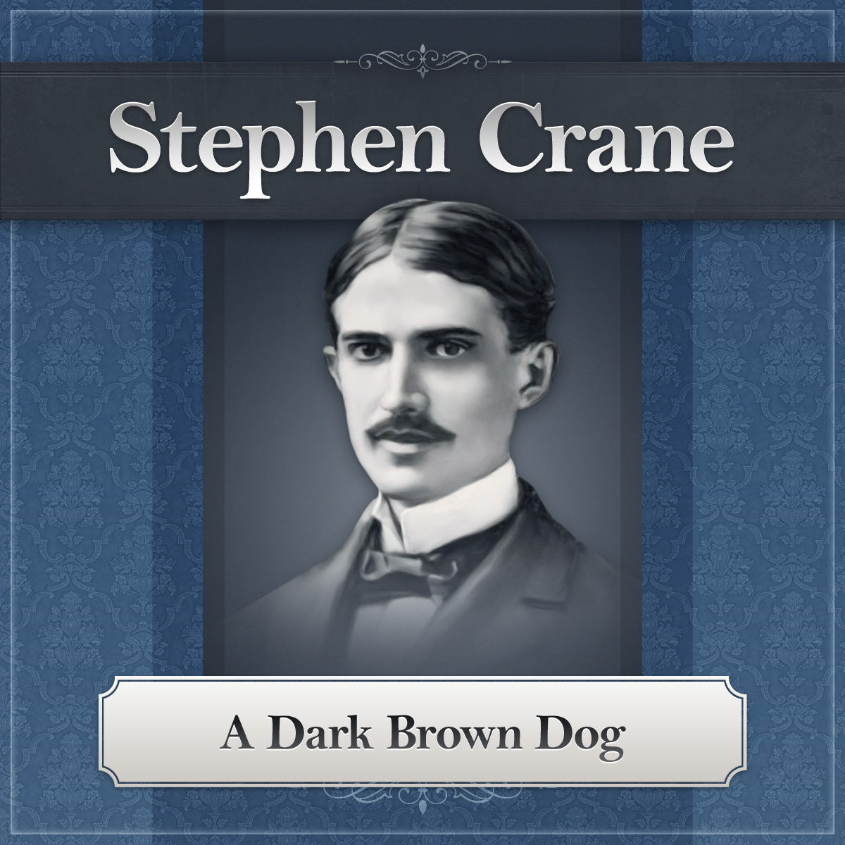 A Dark Brown Dog