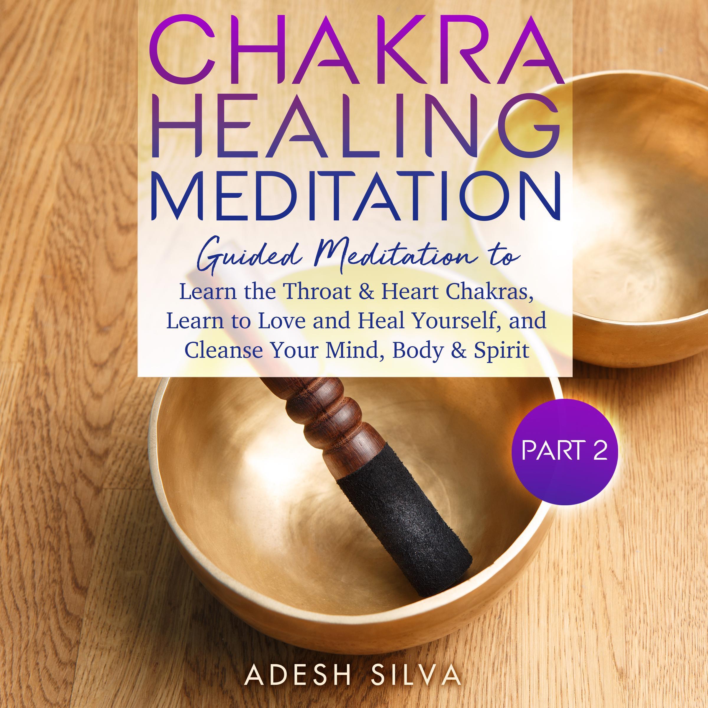 Chakra Healing Meditation Part 2: