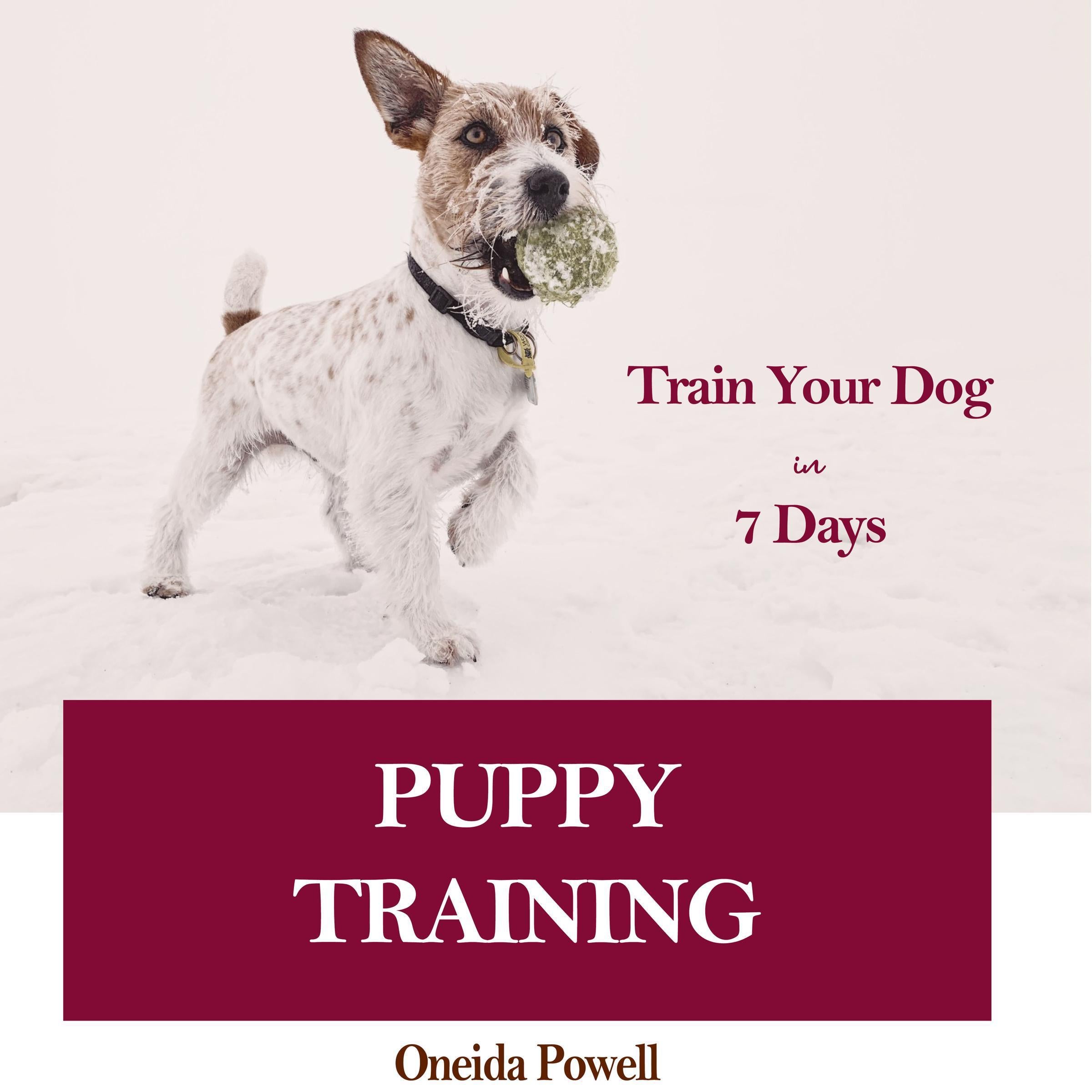 PUPPY TRAINING: