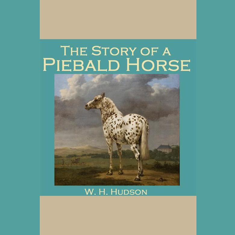 The Story of a Piebald Horse