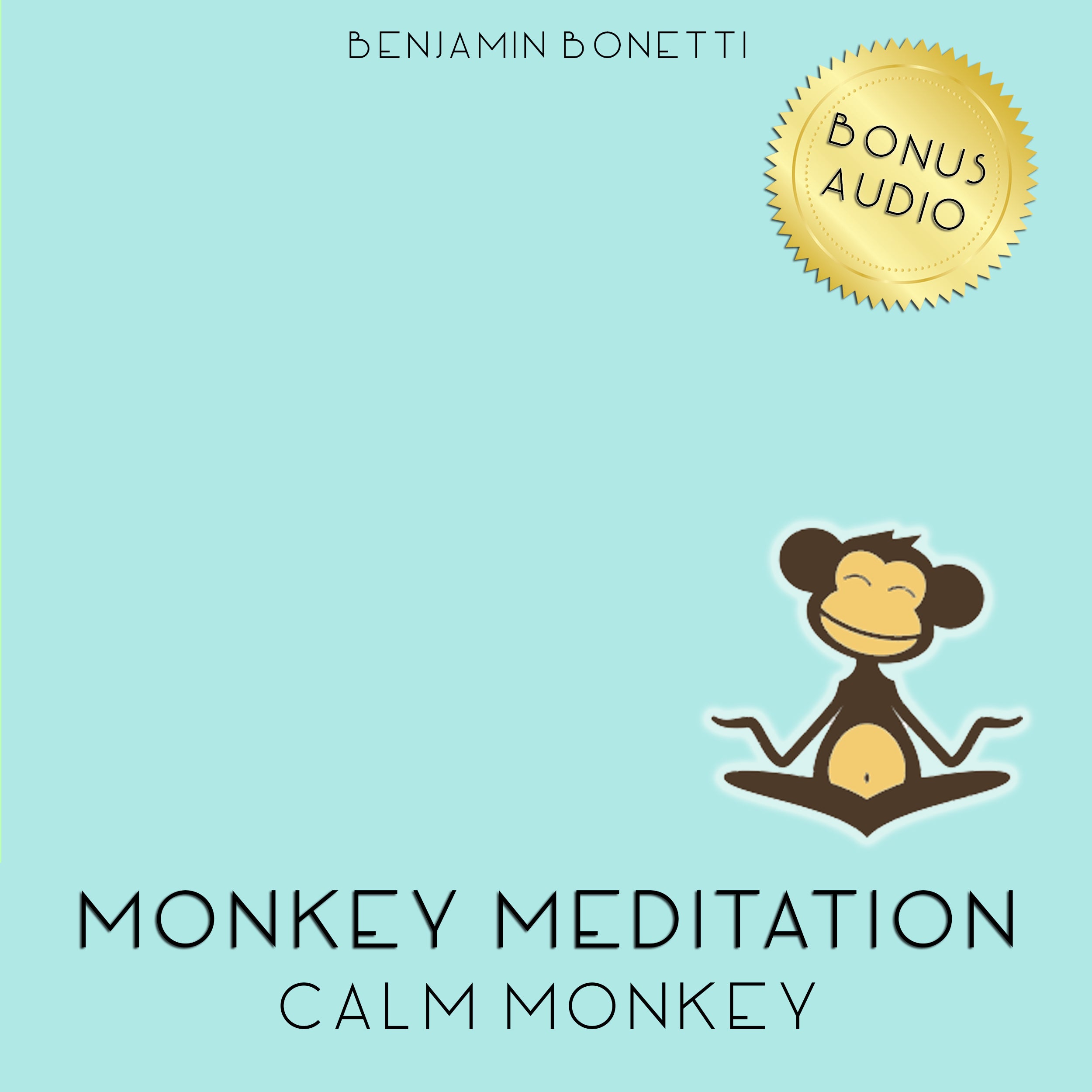 Calm Monkey Meditation