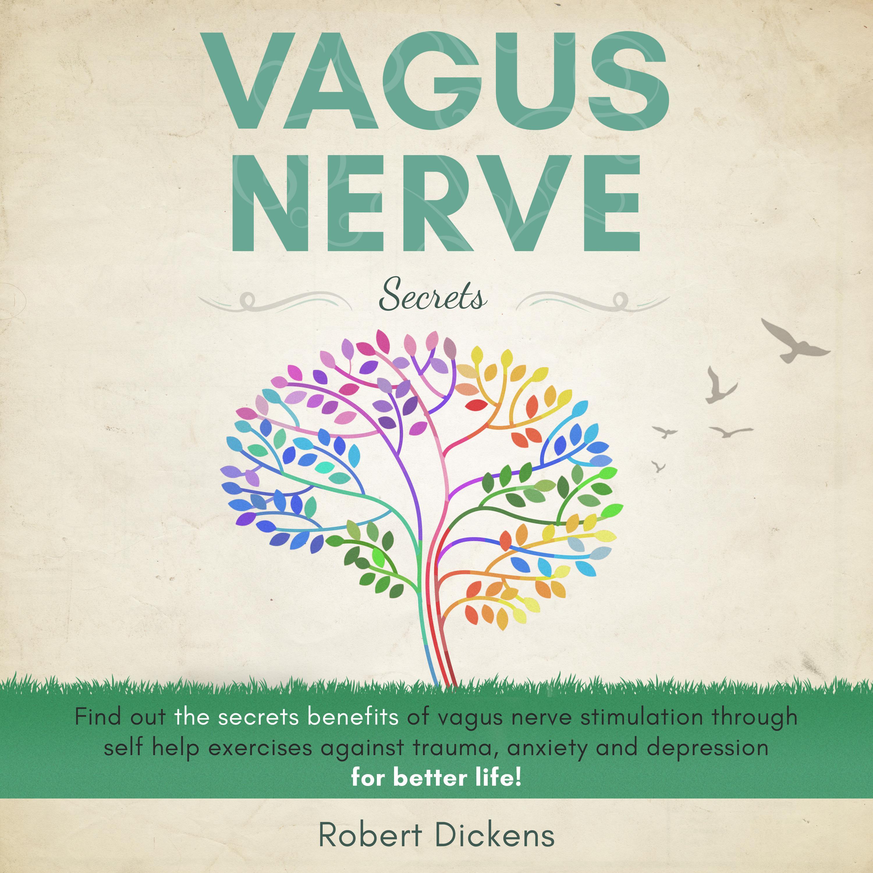 Vagus Nerve Secrets