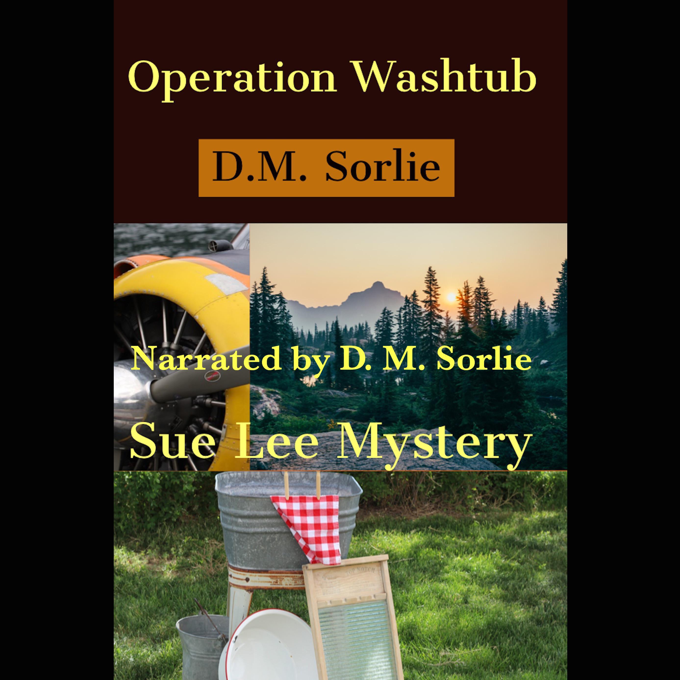 Operation Washtub
