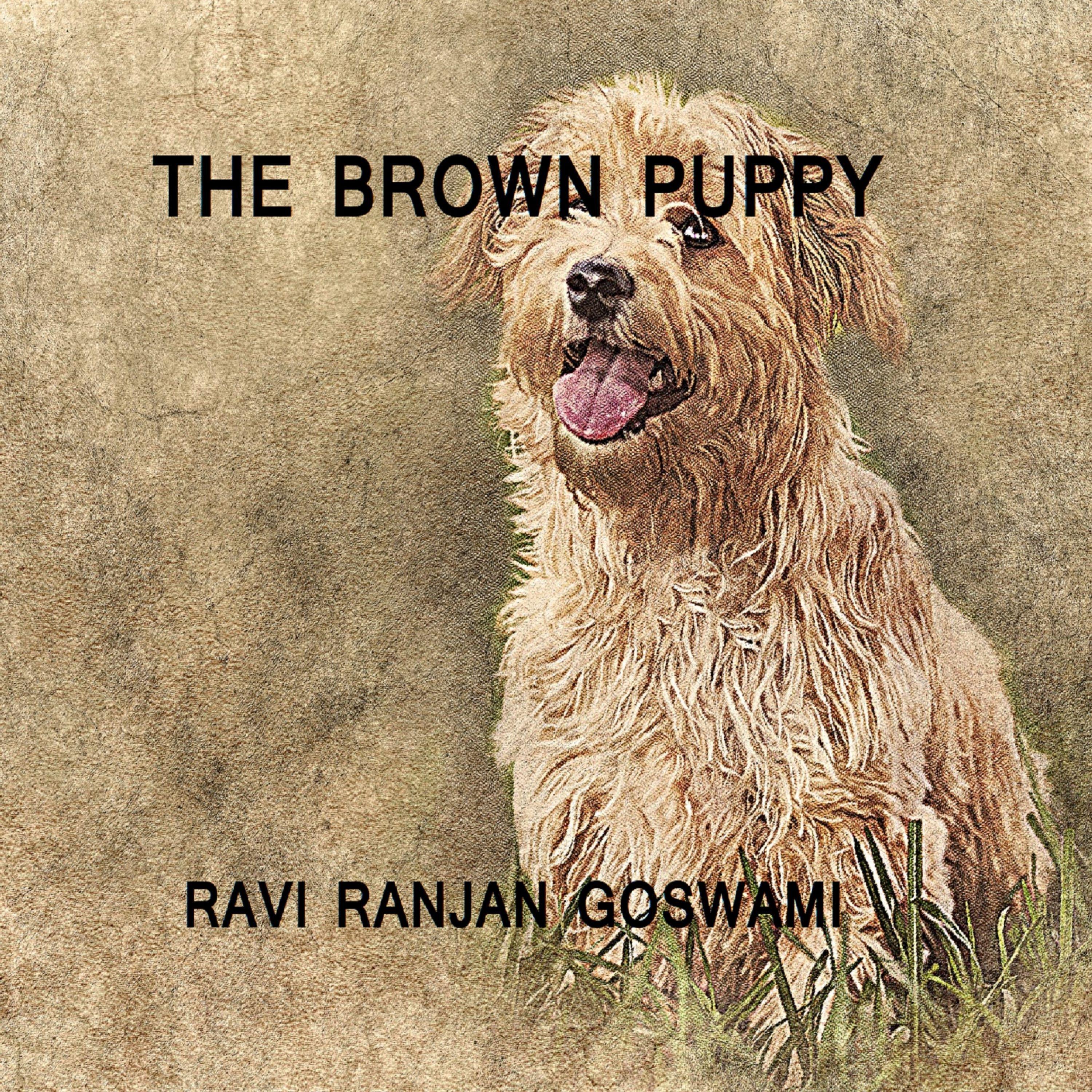 The Brown Puppy