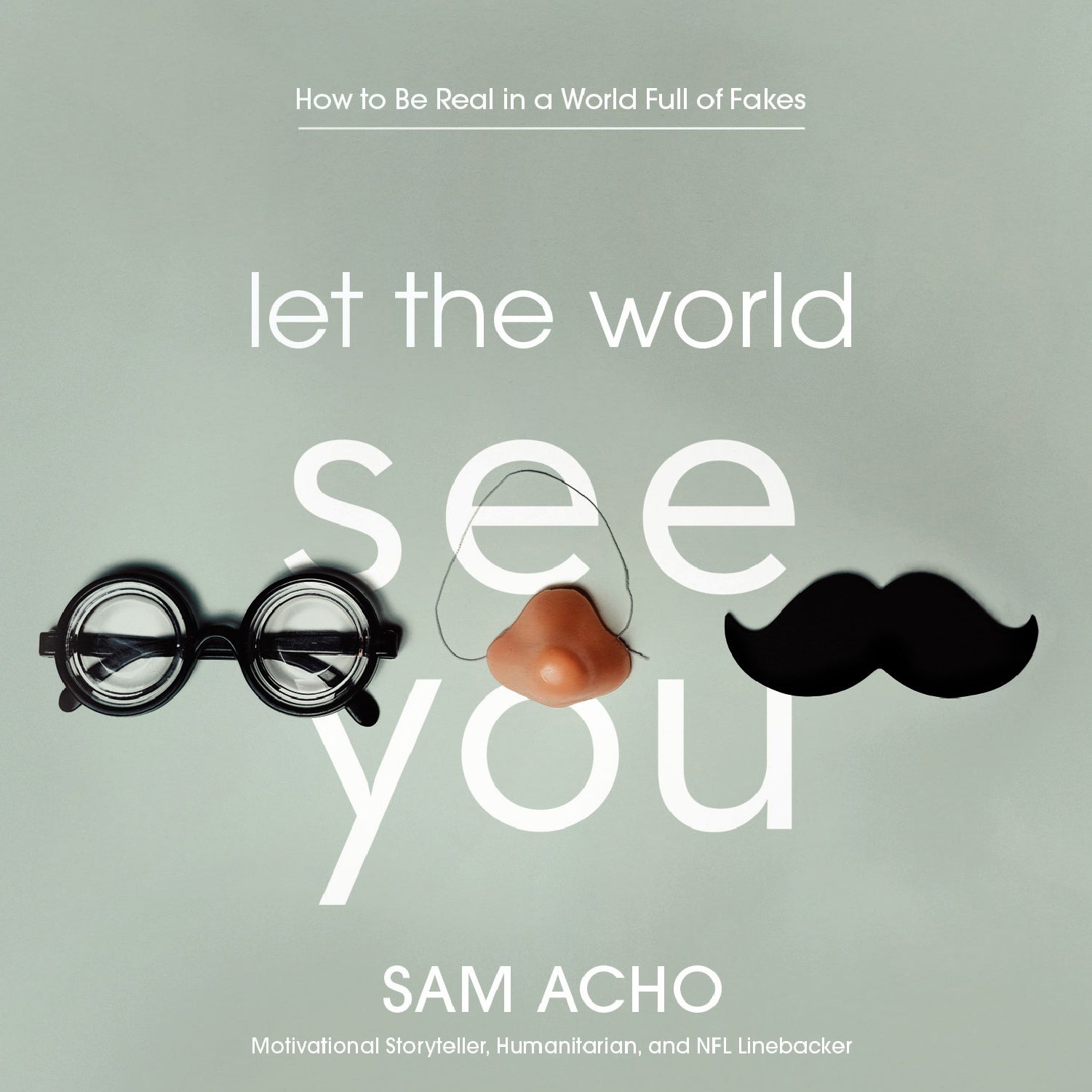 Let the World See You