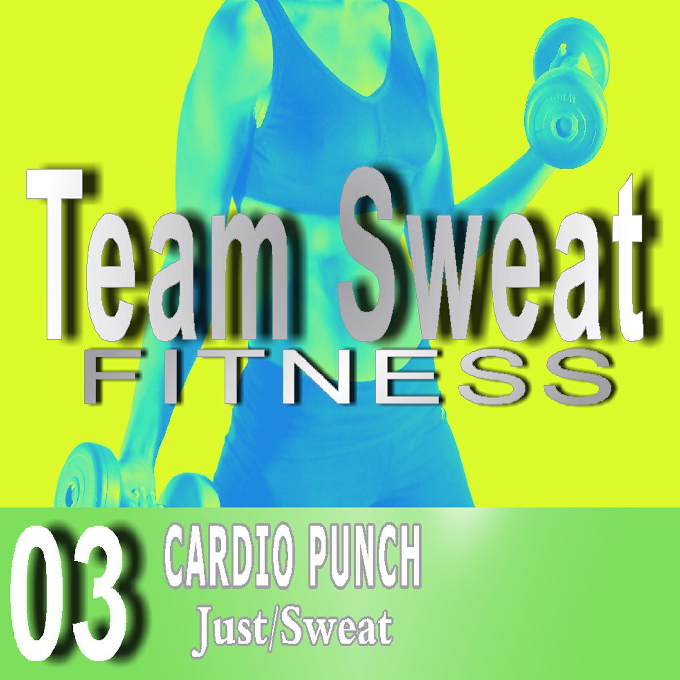 Cardio Punch