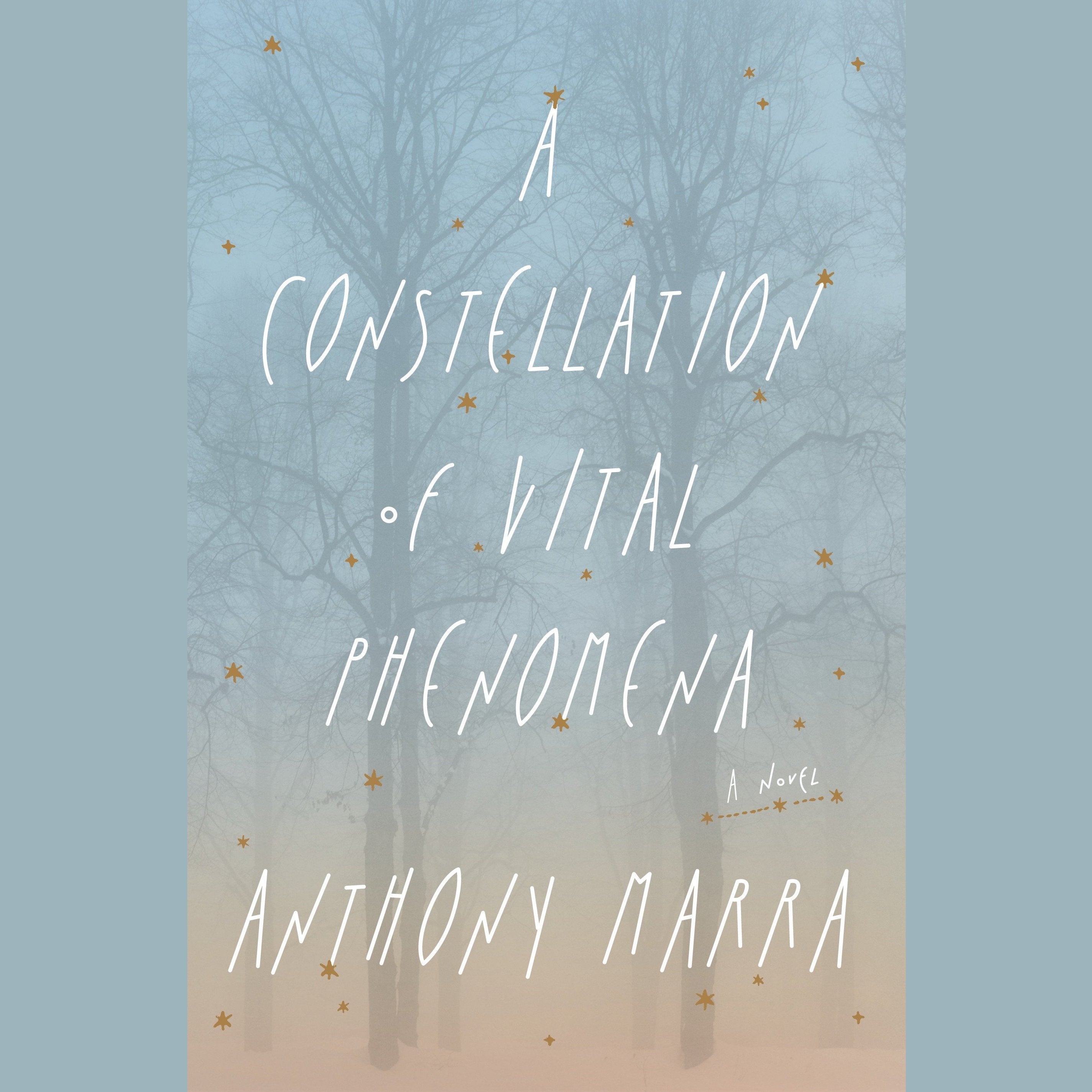 A Constellation of Vital Phenomena