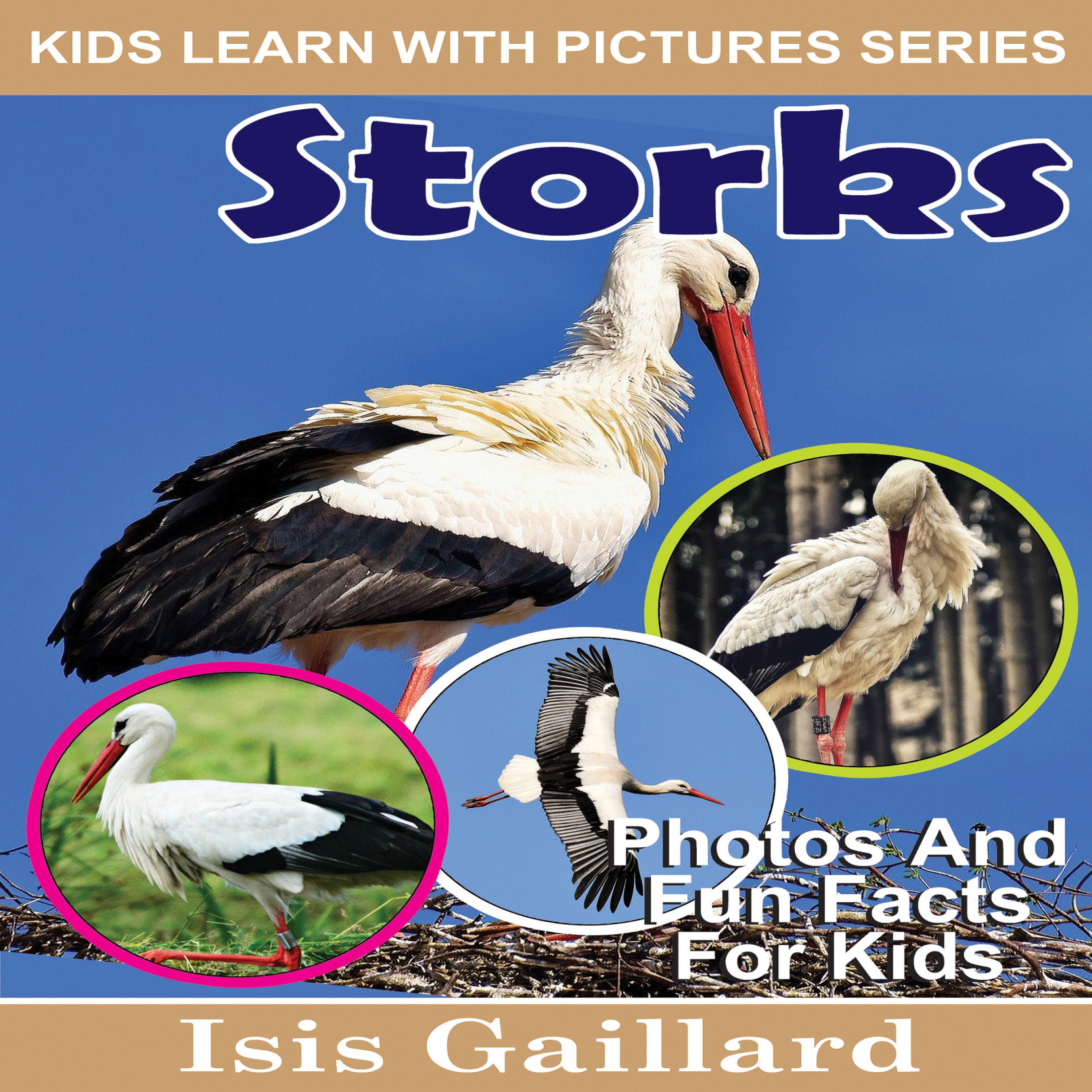 Storks