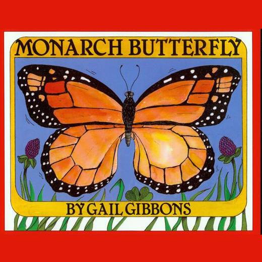 Monarch Butterfly