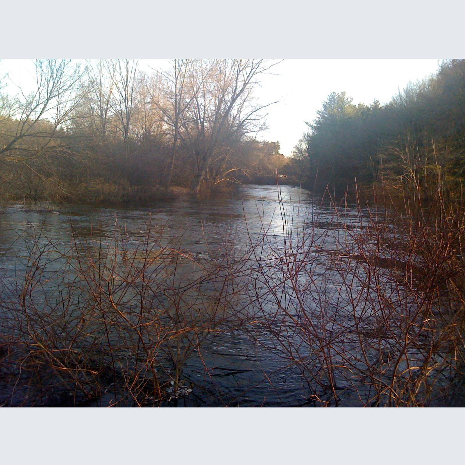 The Introduction to Metaphysics