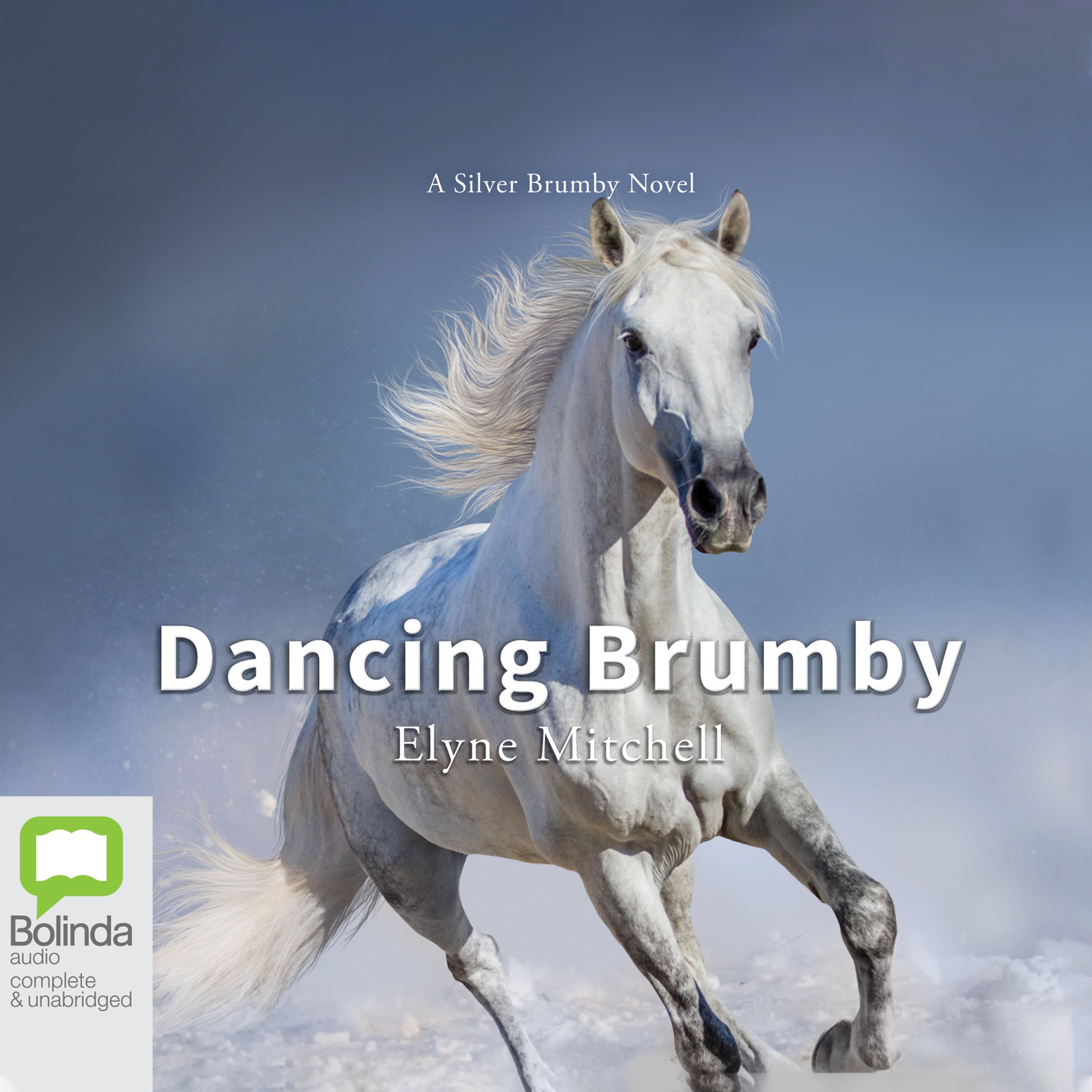 Dancing Brumby