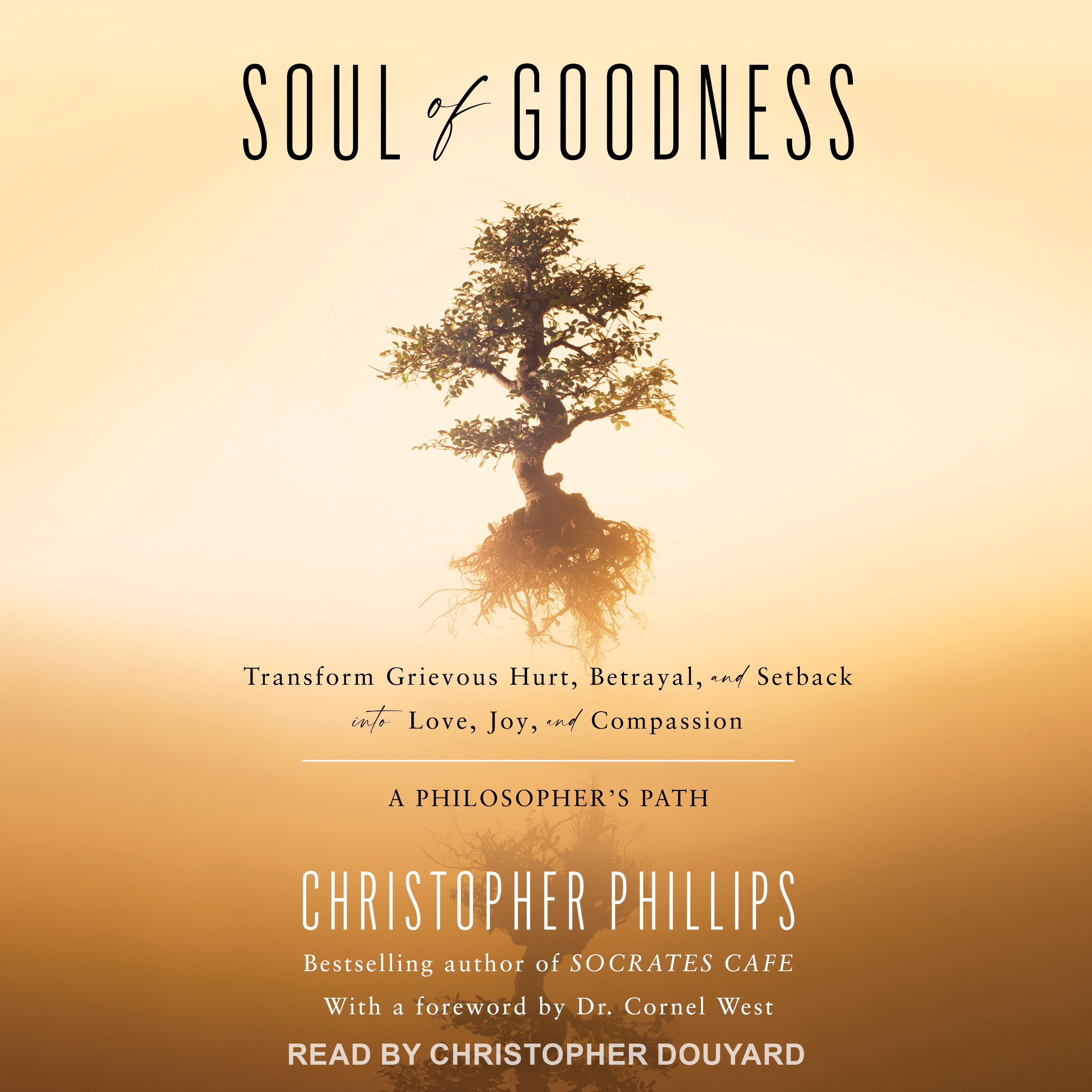 Soul of Goodness