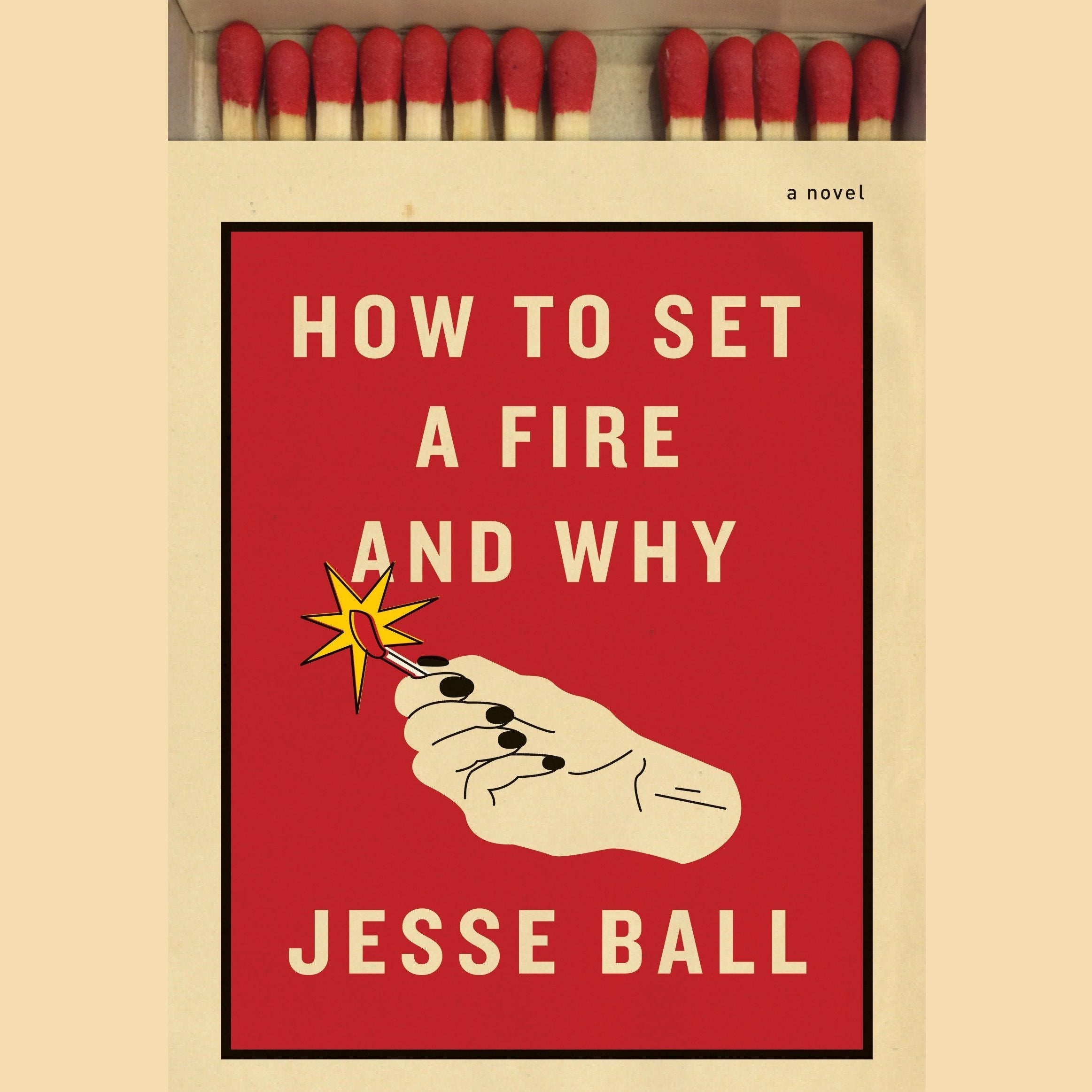 How to Set a Fire and Why