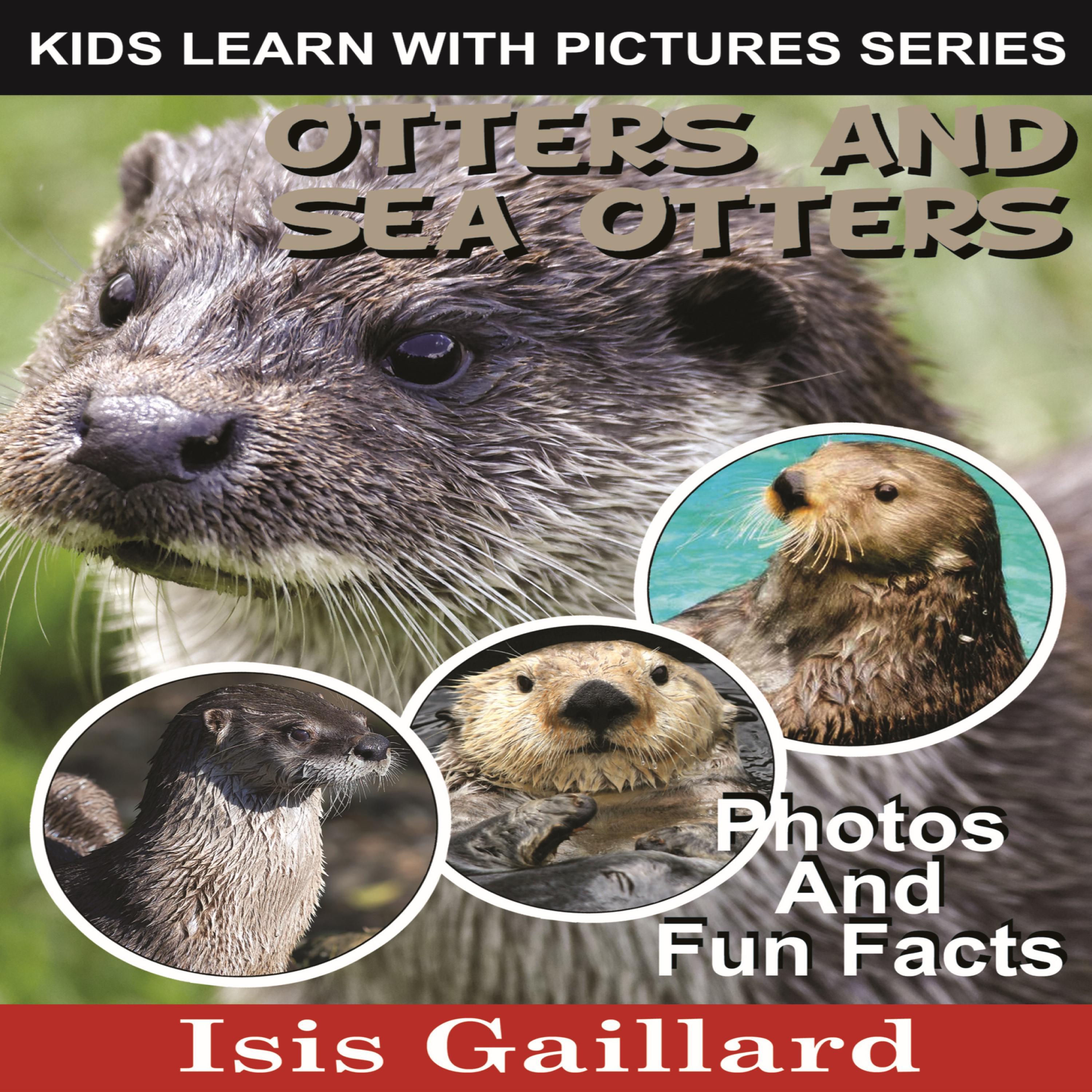 Otters and Sea Otters