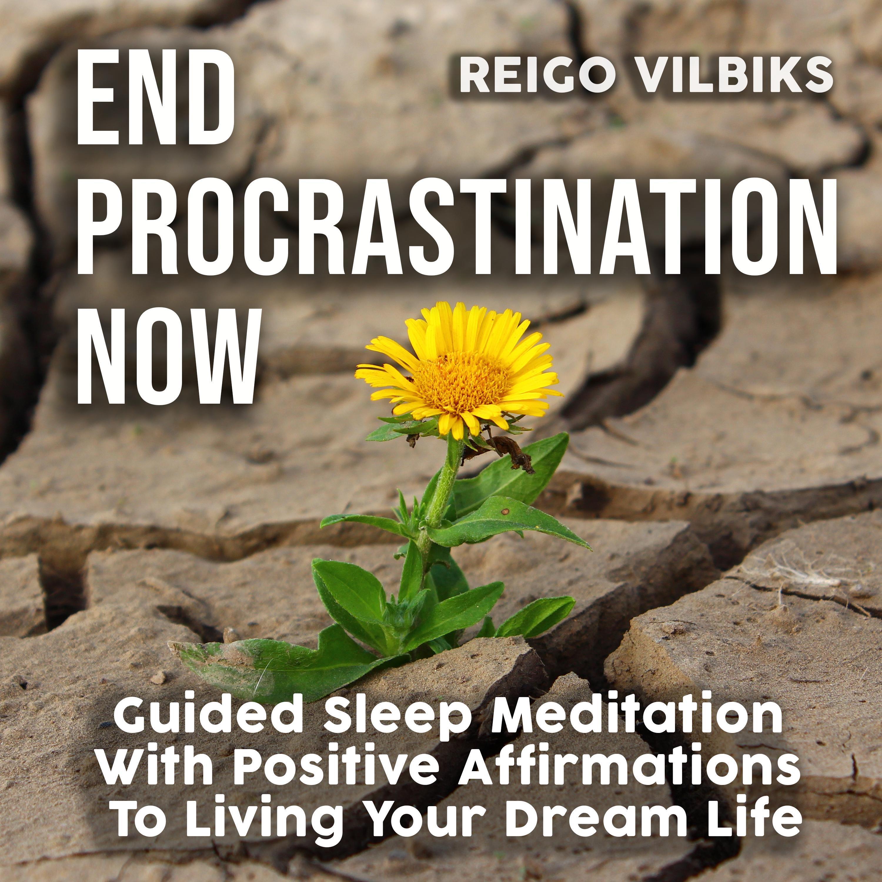 End Procrastination Now