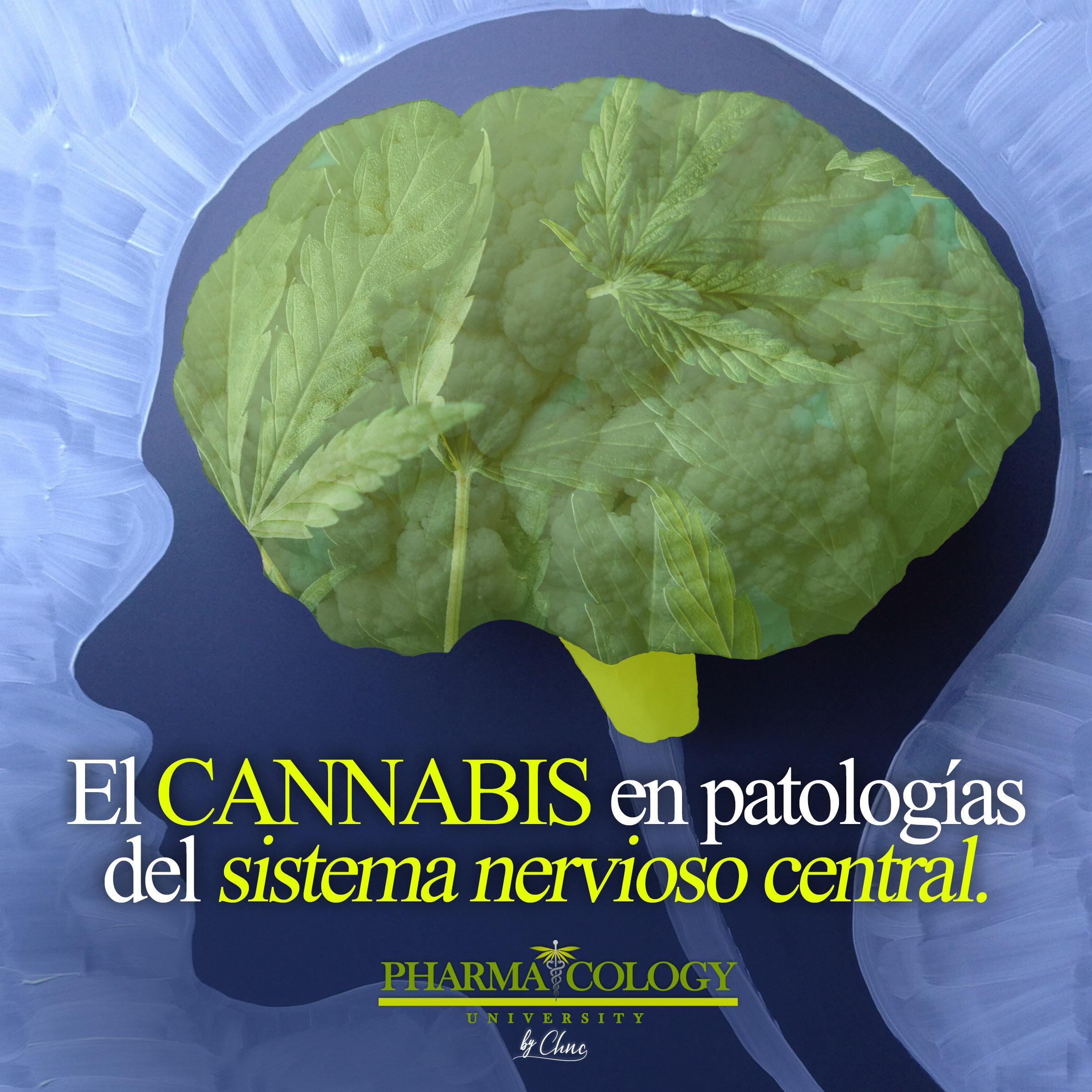 El cannabis en patologías del Sistema Nervioso Central