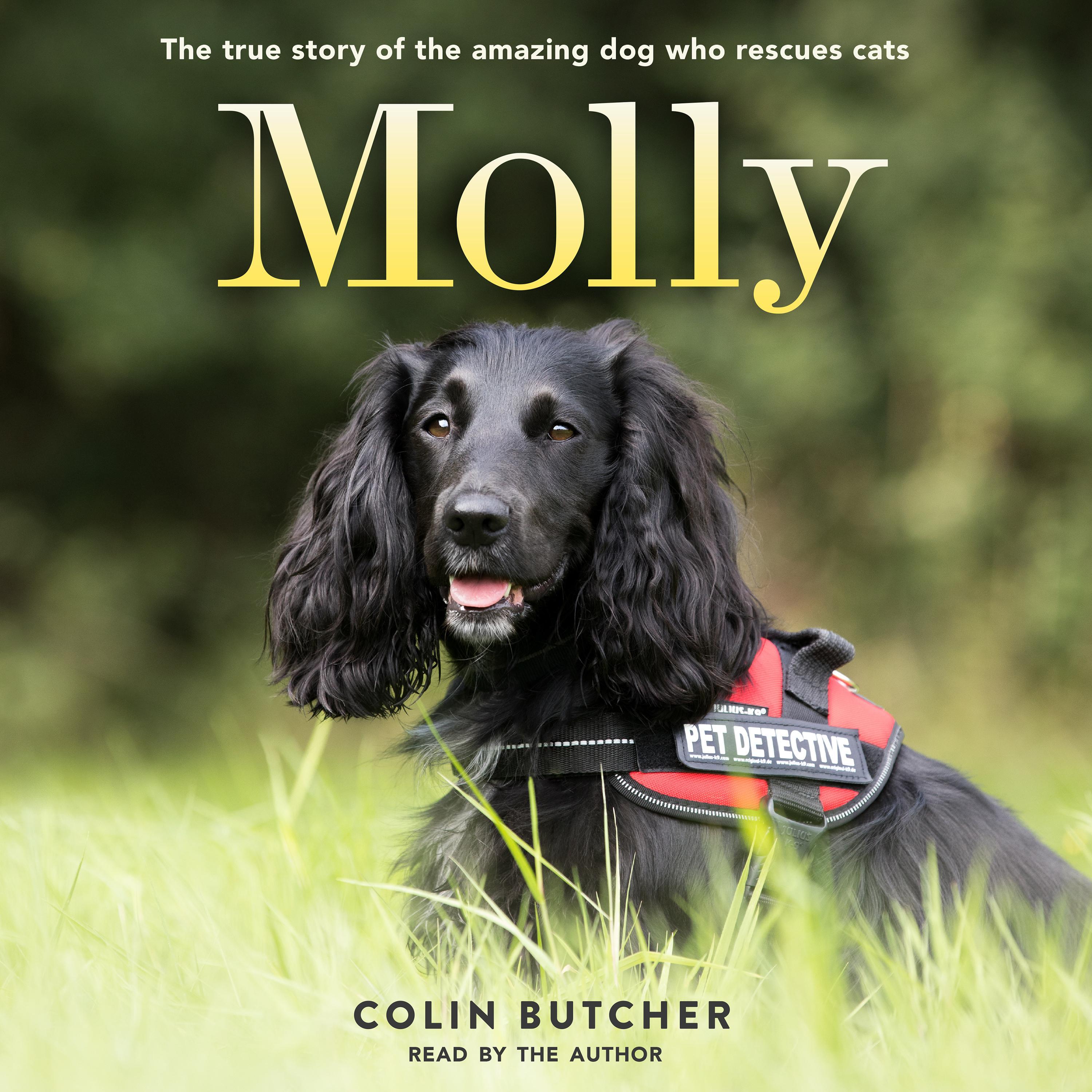 Molly: The True Story of the Amazing Dog Who Rescues Cats