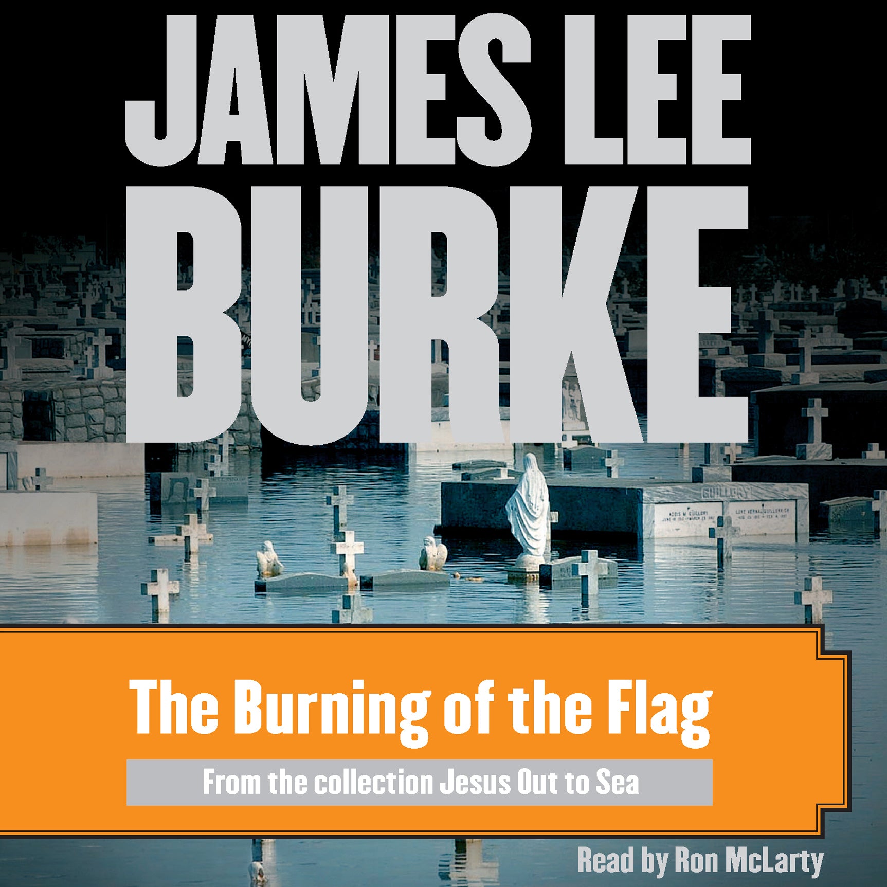The Burning of the Flag