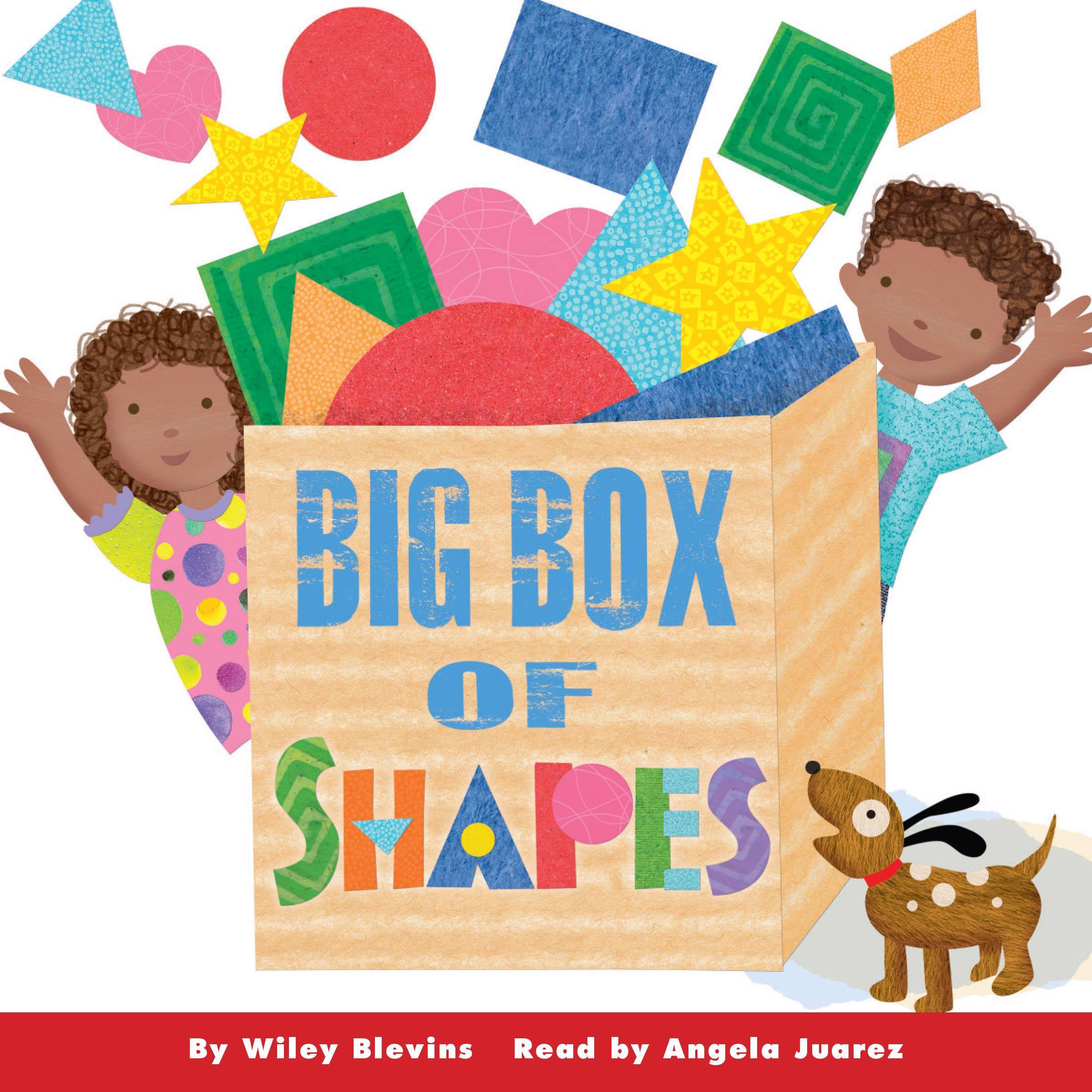 Big Box of Shapes