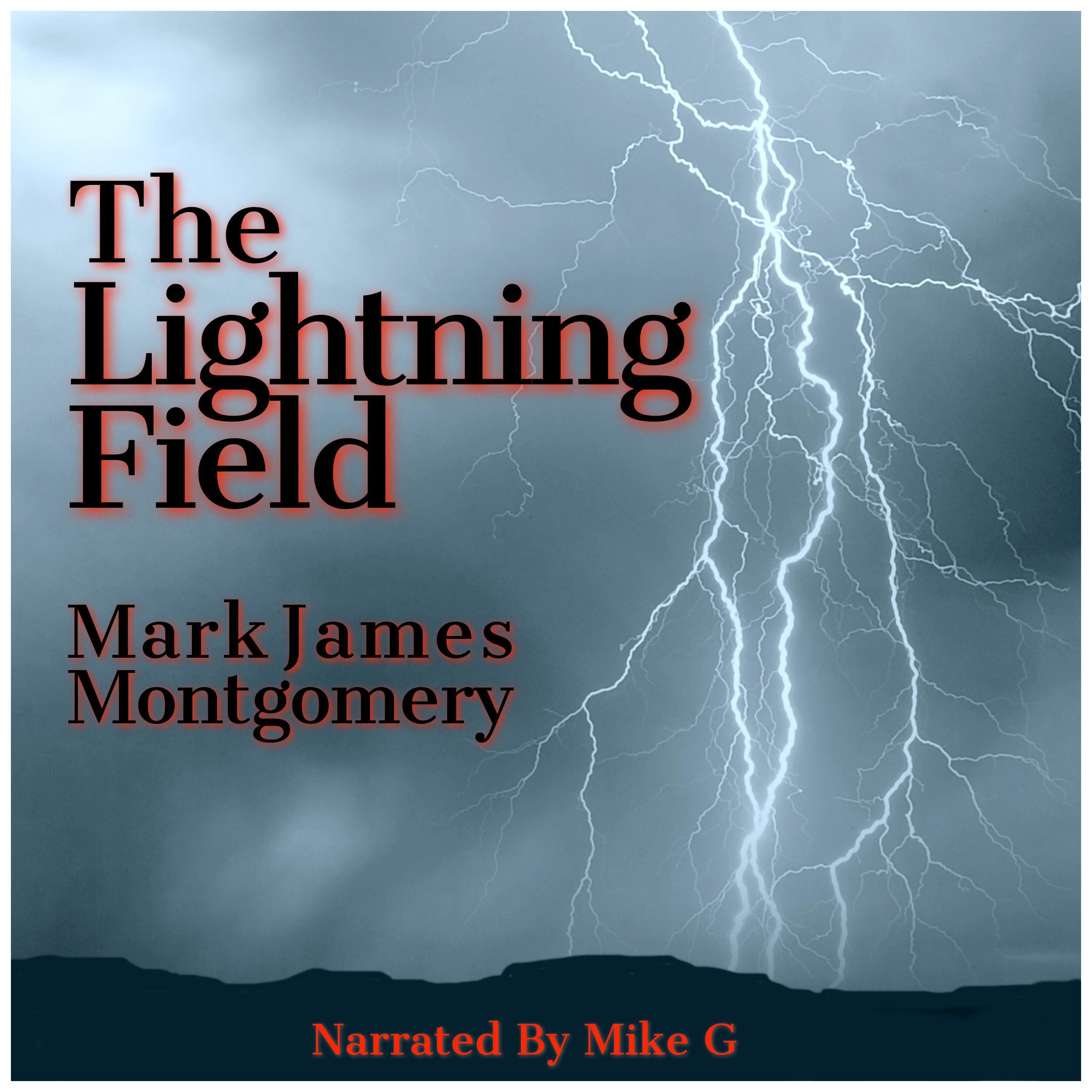 The Lightning Field