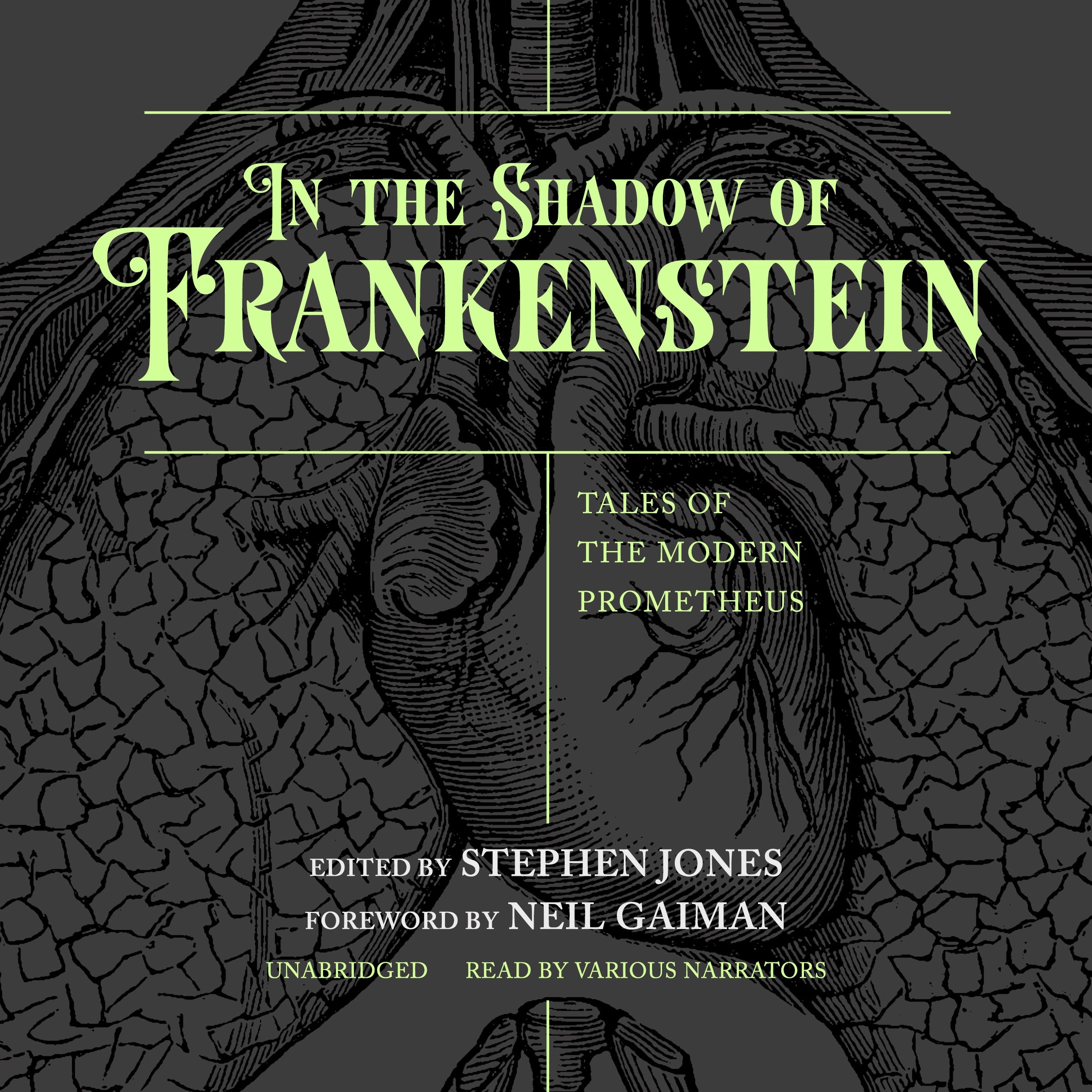 In the Shadow of Frankenstein